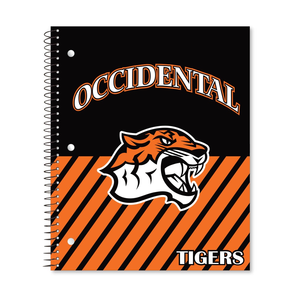 Digi Diagonal Stripe Divide 3 Subject 11"x9" College Ruled Spiral Notebook