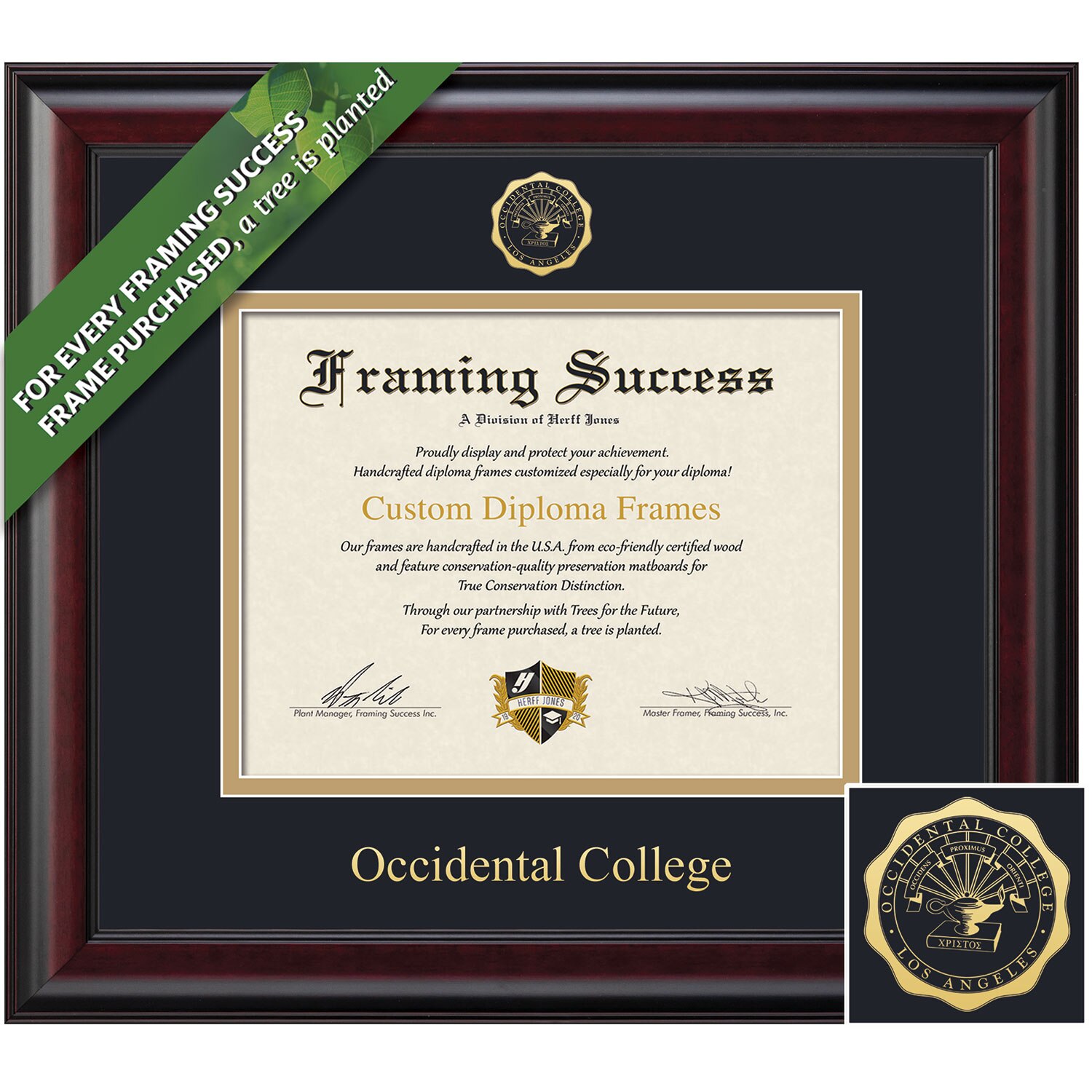Framing Success 8.5 x 11 Classic Gold Embossed School Seal Bachelors Diploma Frame