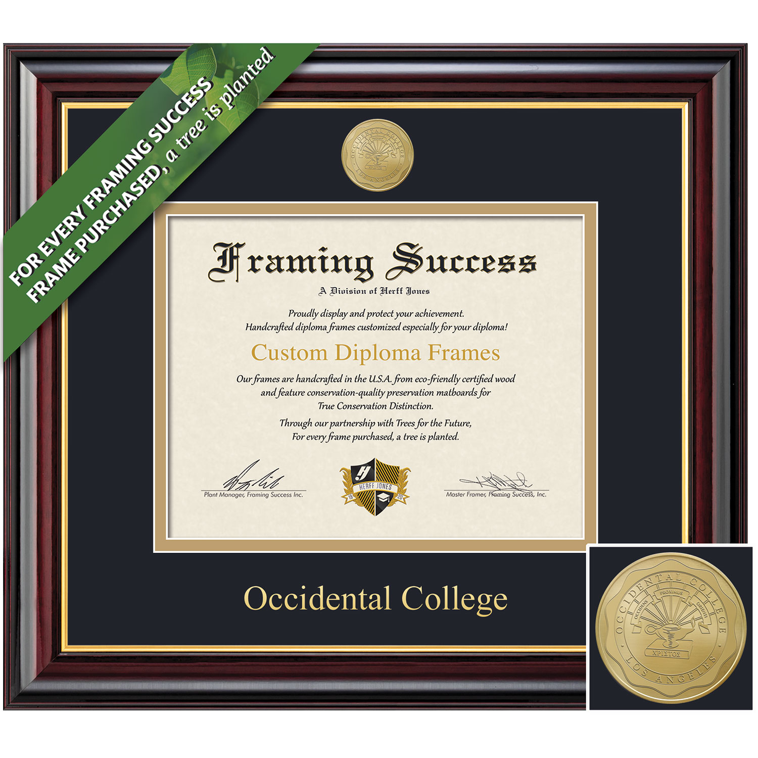 Framing Success 8.5 x 11 Windsor Gold Medallion Bachelors Diploma Frame