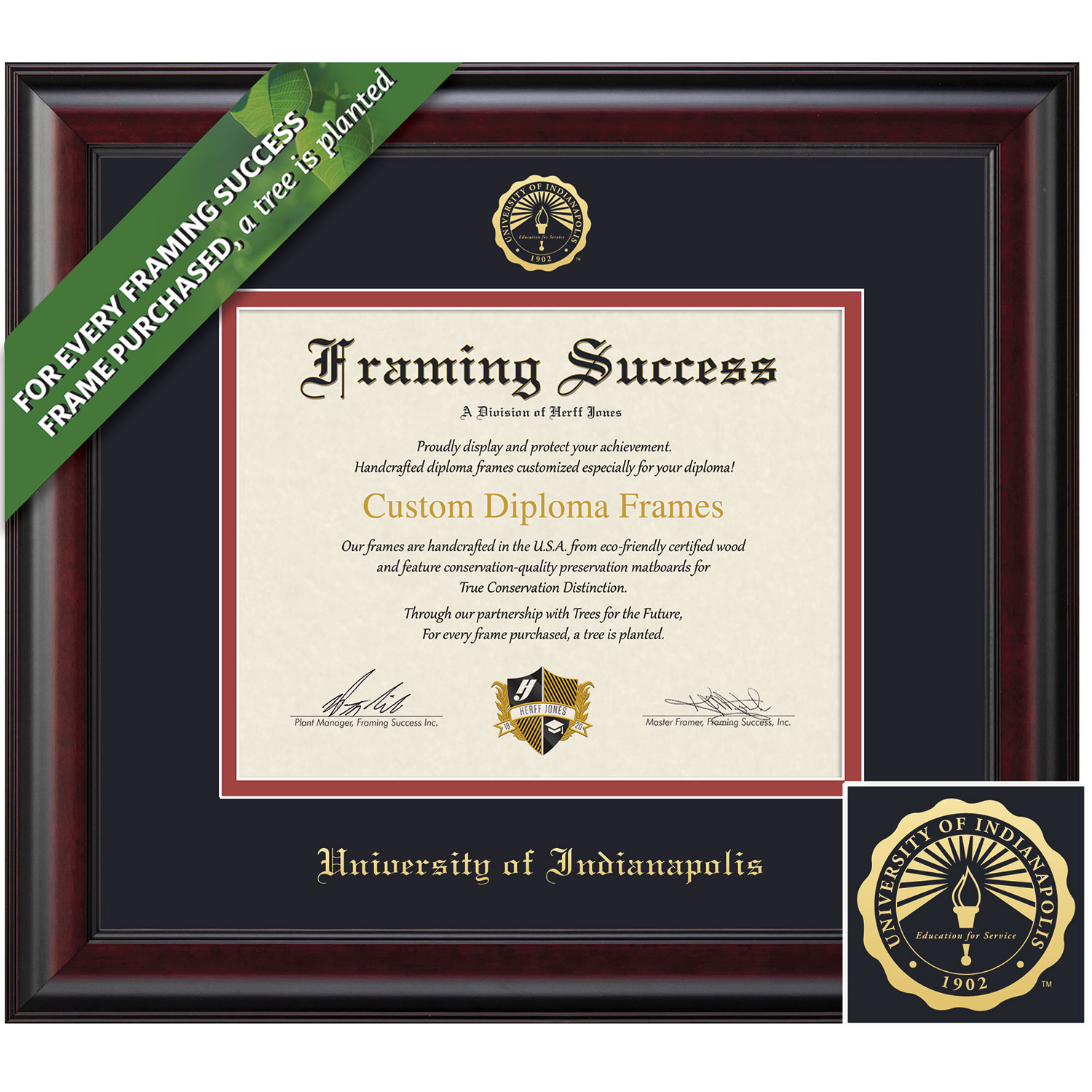 Framing Success 8.5 x 11 Classic Gold Embossed School Seal Bachelors Masters Doctorate Diploma Frame