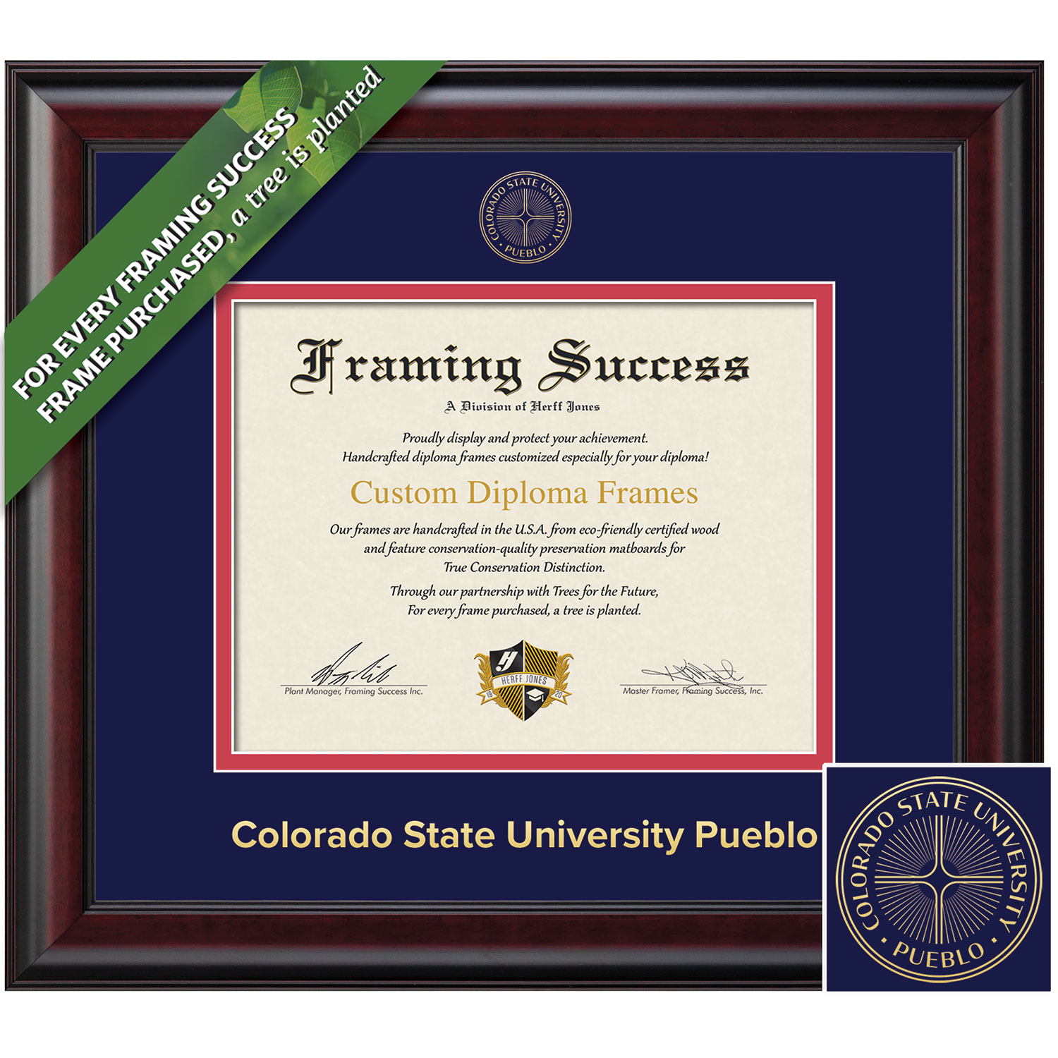 Framing Success 8.5 x 11 Classic Gold Embossed School Seal Bachelors Masters Doctorate Diploma Frame