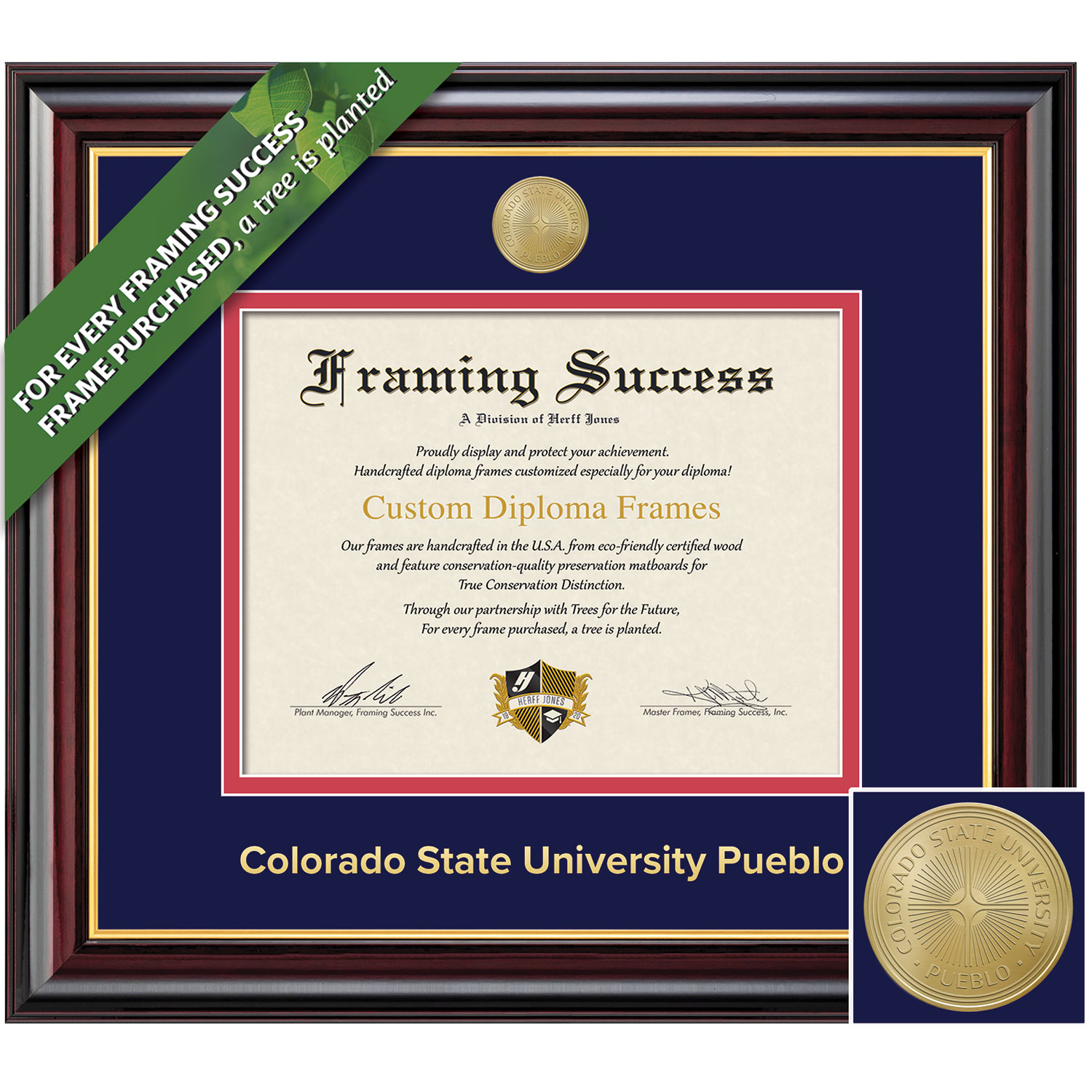 Framing Success 8.5 x 11 Windsor Gold Medallion Bachelors Masters Doctorate Diploma Frame