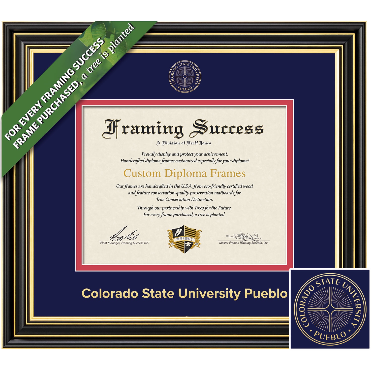 Framing Success 8.5 x 11 Prestige Gold Embossed School Seal Bachelors MASters Doctorate Diploma Frame