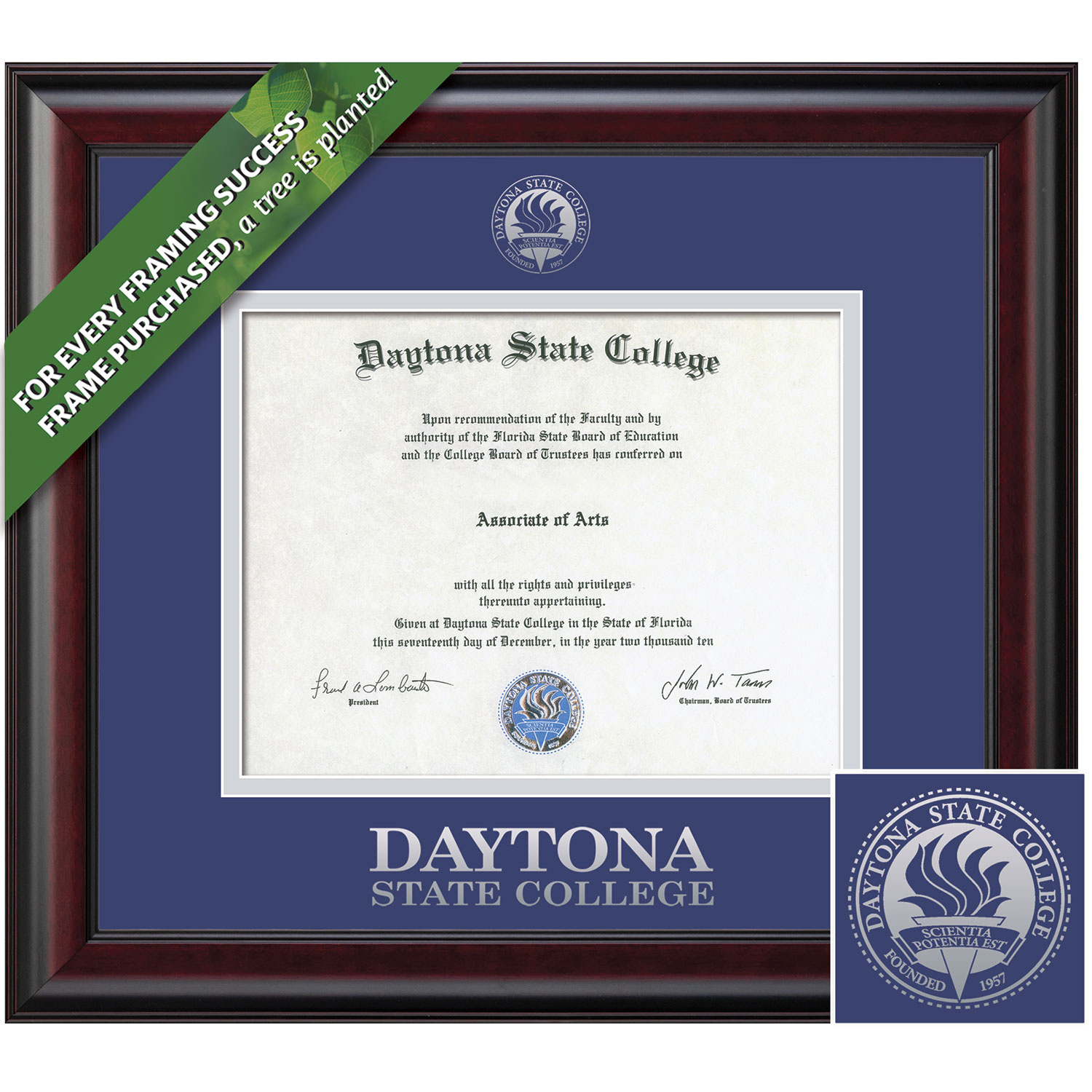 Framing Success 8.5 x 11 Classic Silver Embossed School Seal Associates Diploma Frame
