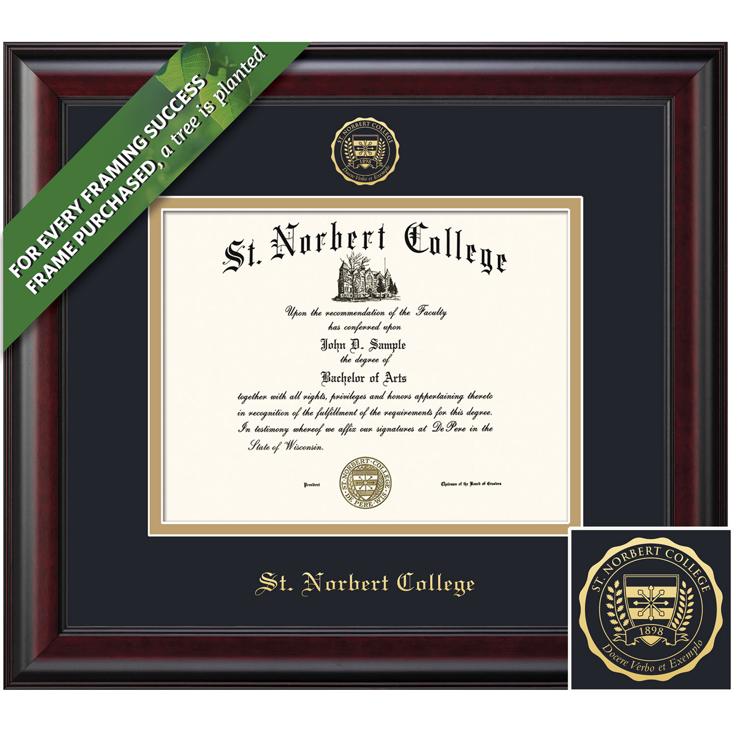 Framing Success 8.5 x 11 Classic Gold Embossed School Seal Bachelors Masters Diploma Frame