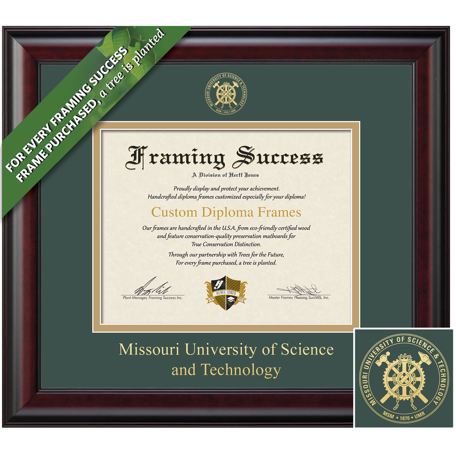 Framing Success 8.5 x 11 Classic Gold Embossed School Seal Bachelors Masters Diploma Frame