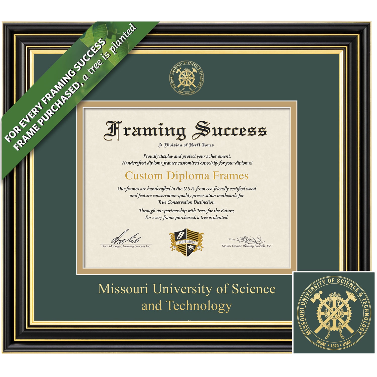 Framing Success 8.5 x 11 Prestige Gold Embossed School Seal Bachelors Masters Diploma Frame