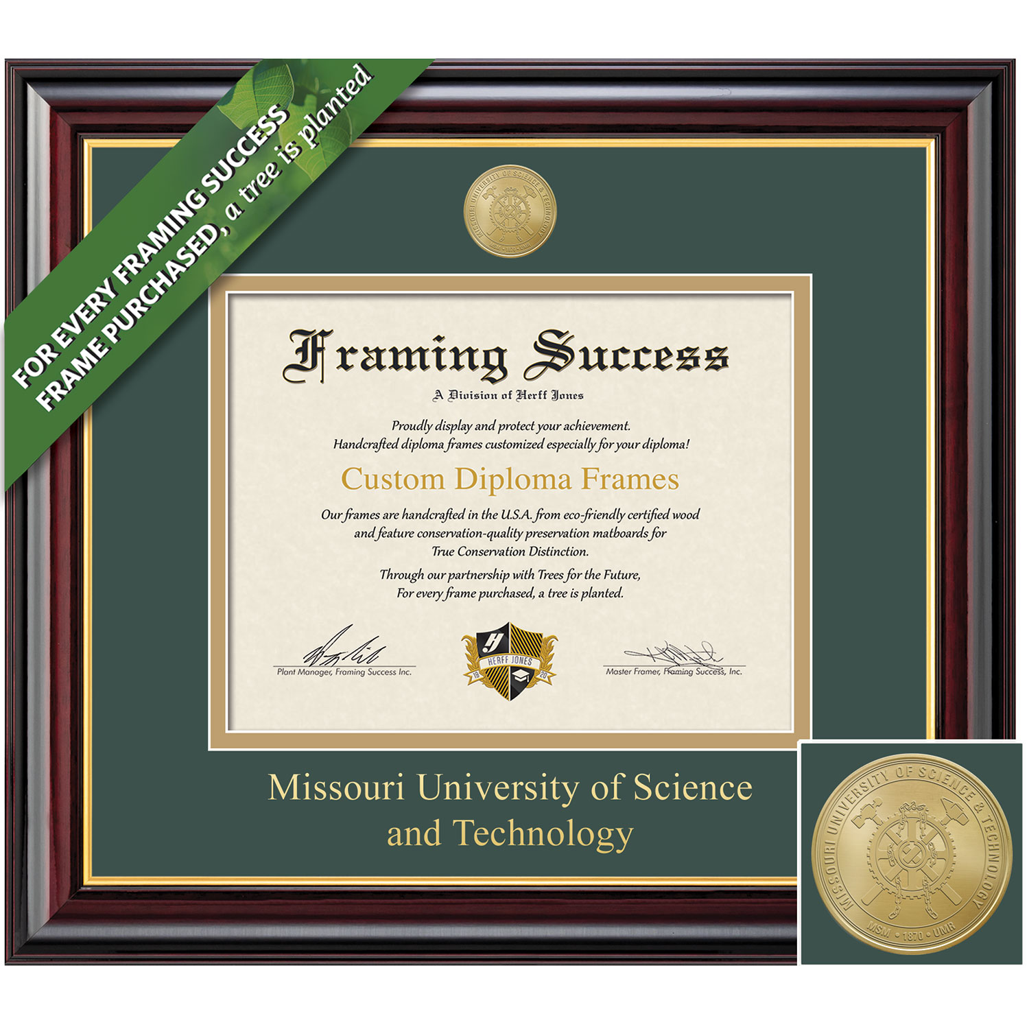 Framing Success 8.5 x 11 Windsor Gold Medallion Bachelors Masters Diploma Frame