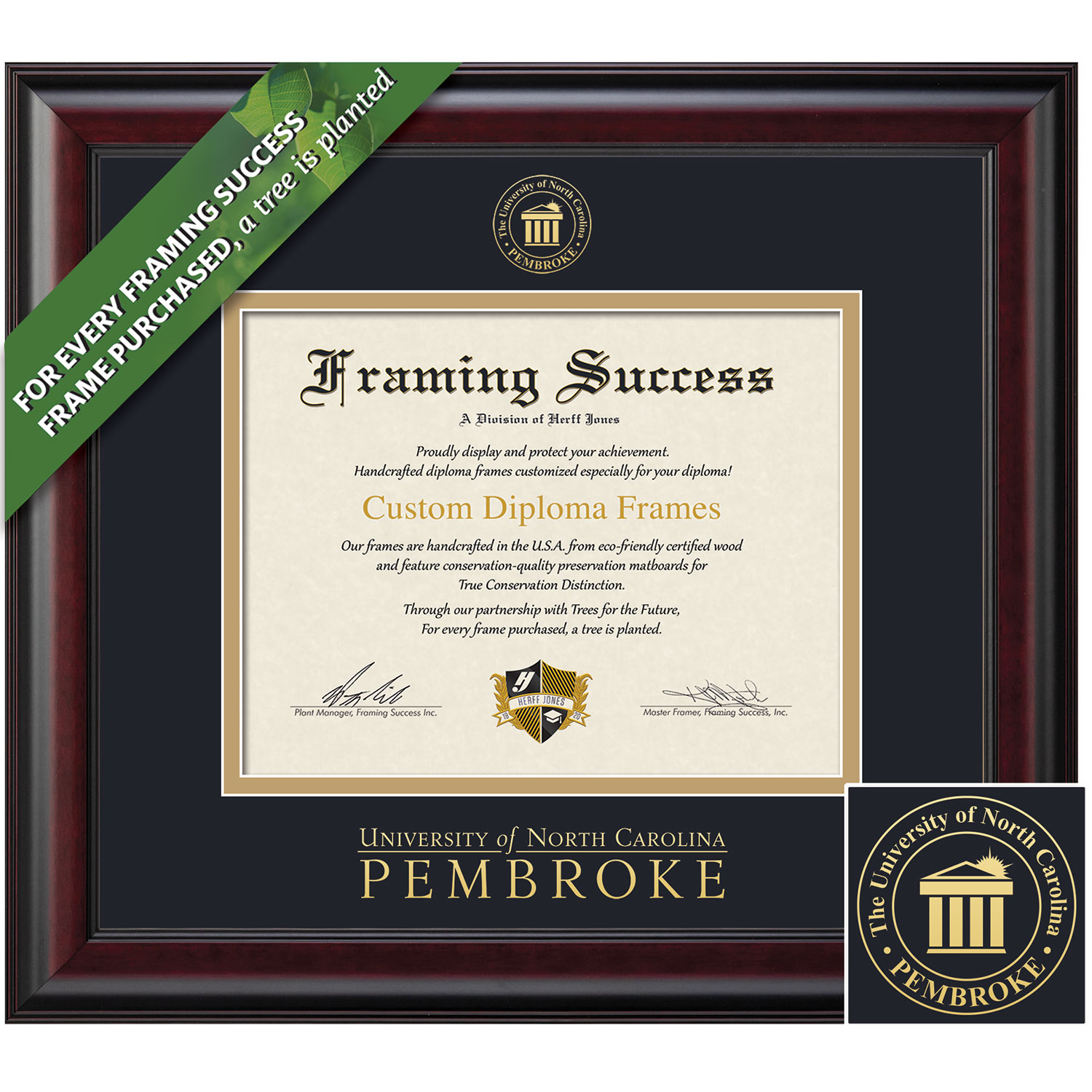 Framing Success 8.5 x 11 Classic Gold Embossed School Seal Bachelors Diploma Frame