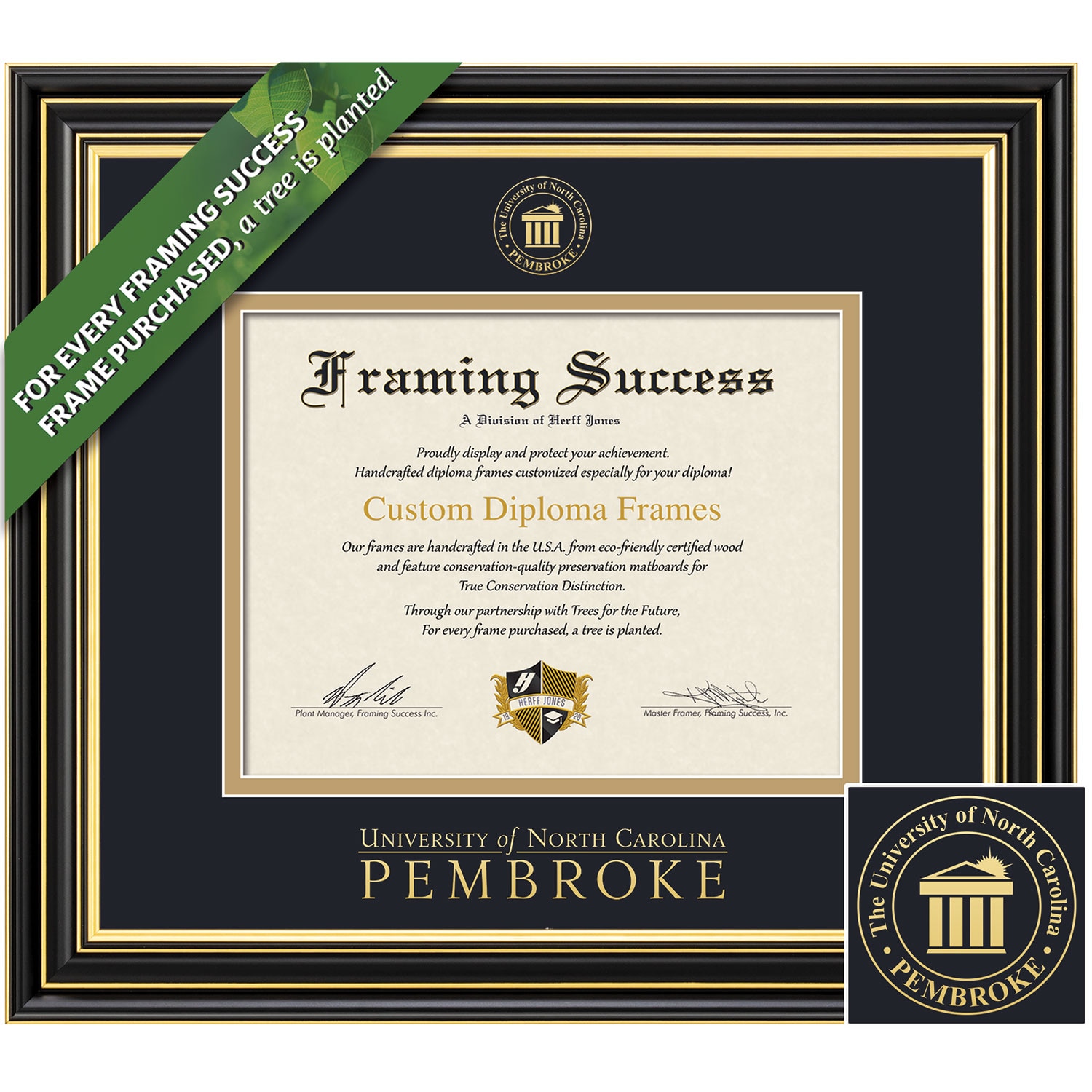 Framing Success 8.5 x 11 Prestige Gold Embossed School Seal Bachelors Diploma Frame