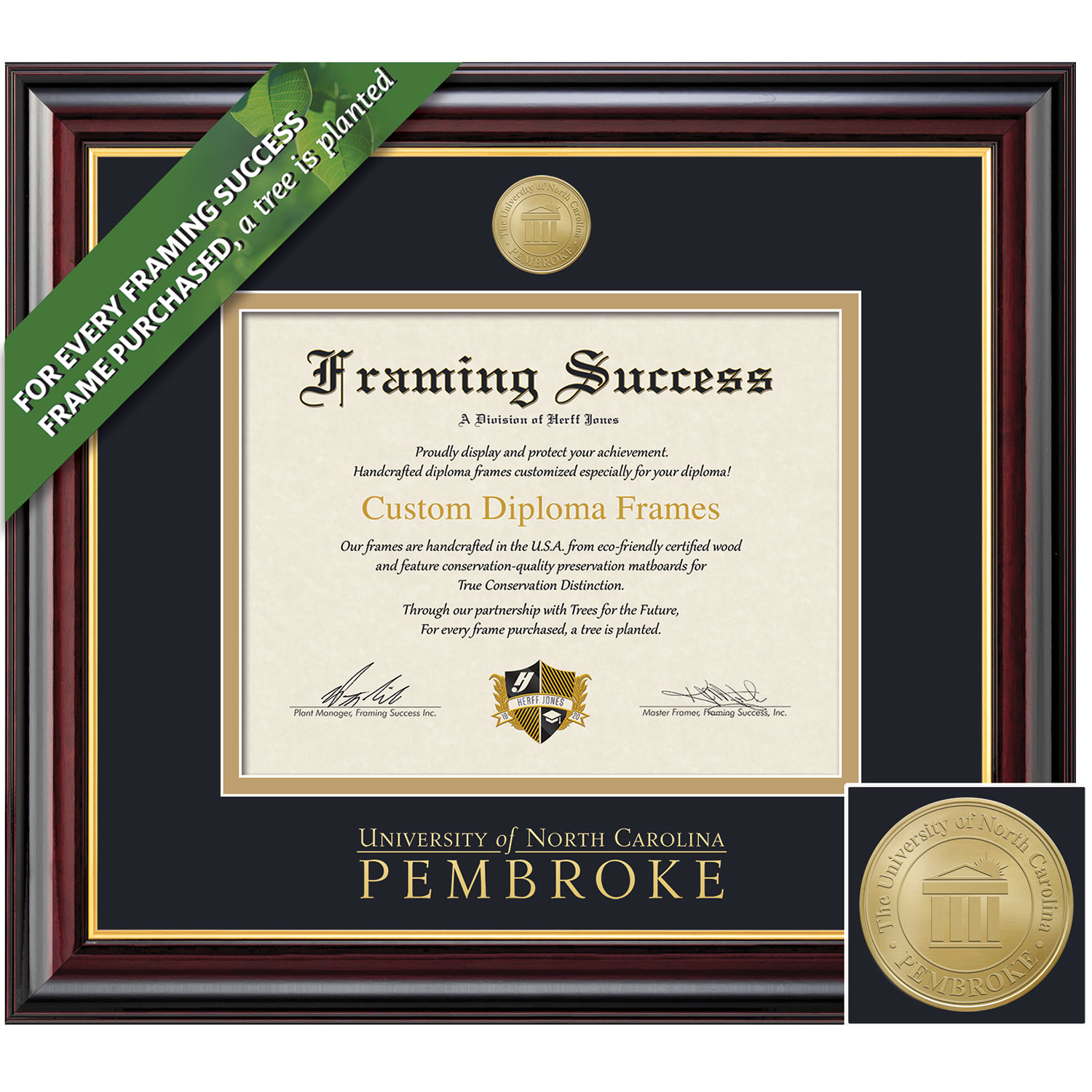 Framing Success 11 x 14 Windsor Gold Medallion Masters Diploma Frame