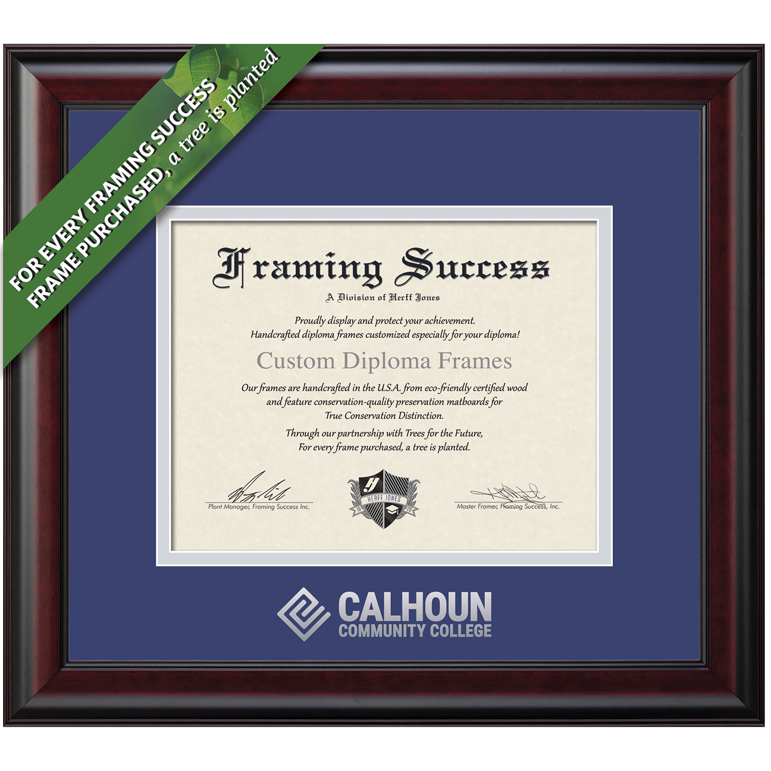 Framing Success 8.5x 11 Classic Silver Embossed School Seal Associates Diploma Frame
