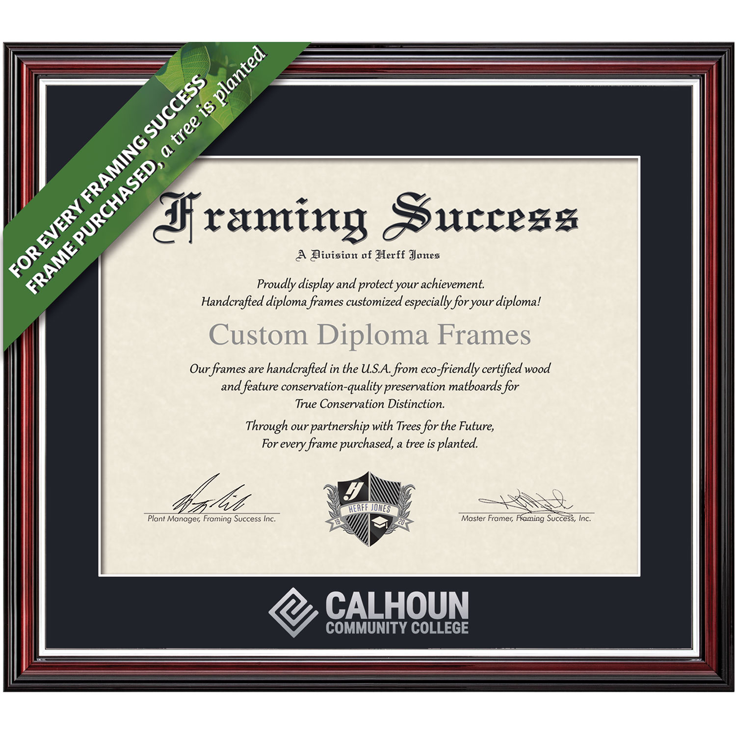 Framing Success 8.5 x 11 Scholastic Silver Embossed School Seal Associates Diploma Frame