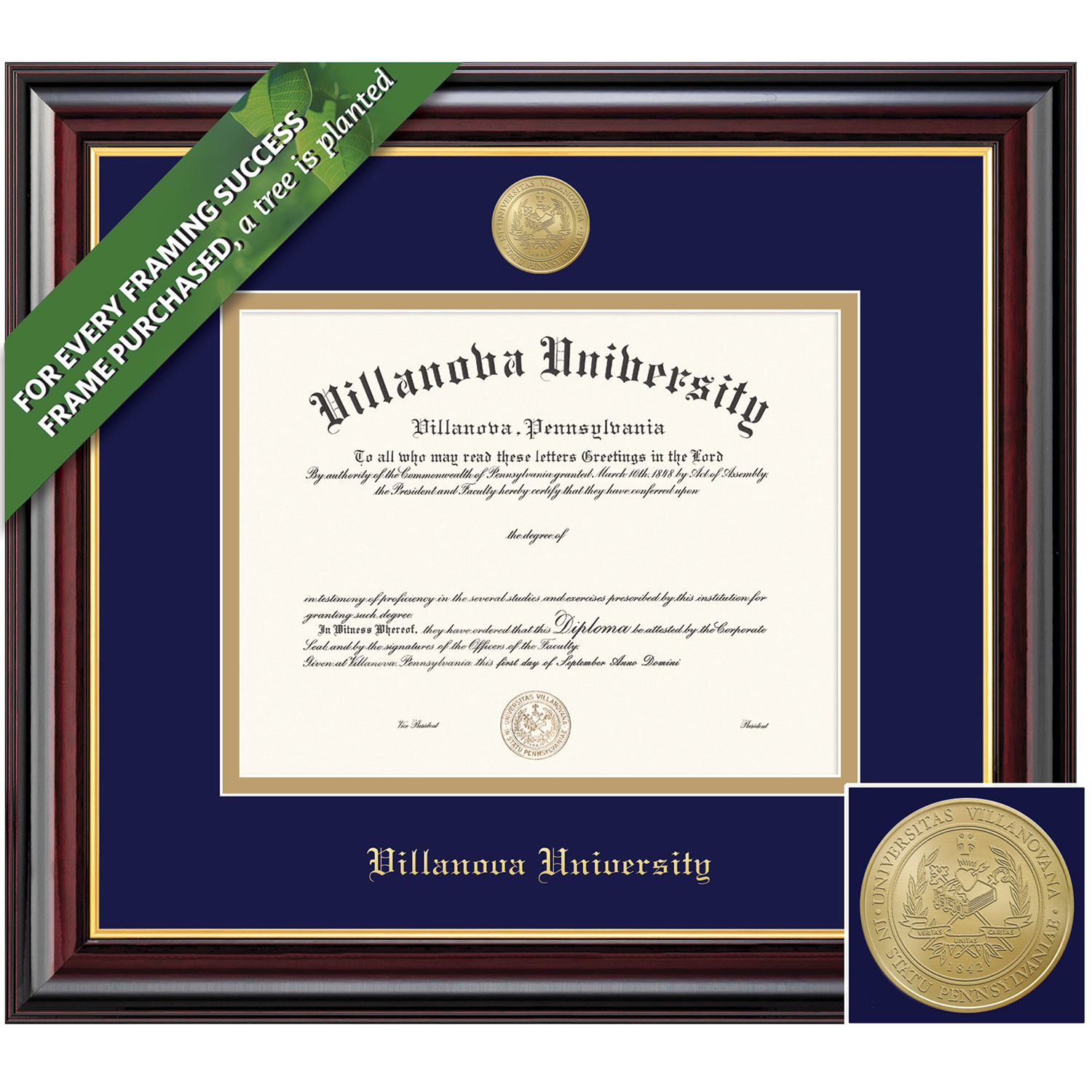 Framing Success 12 x 16 Windsor Gold Medallion Bachelors Masters Doctorate Diploma Frame