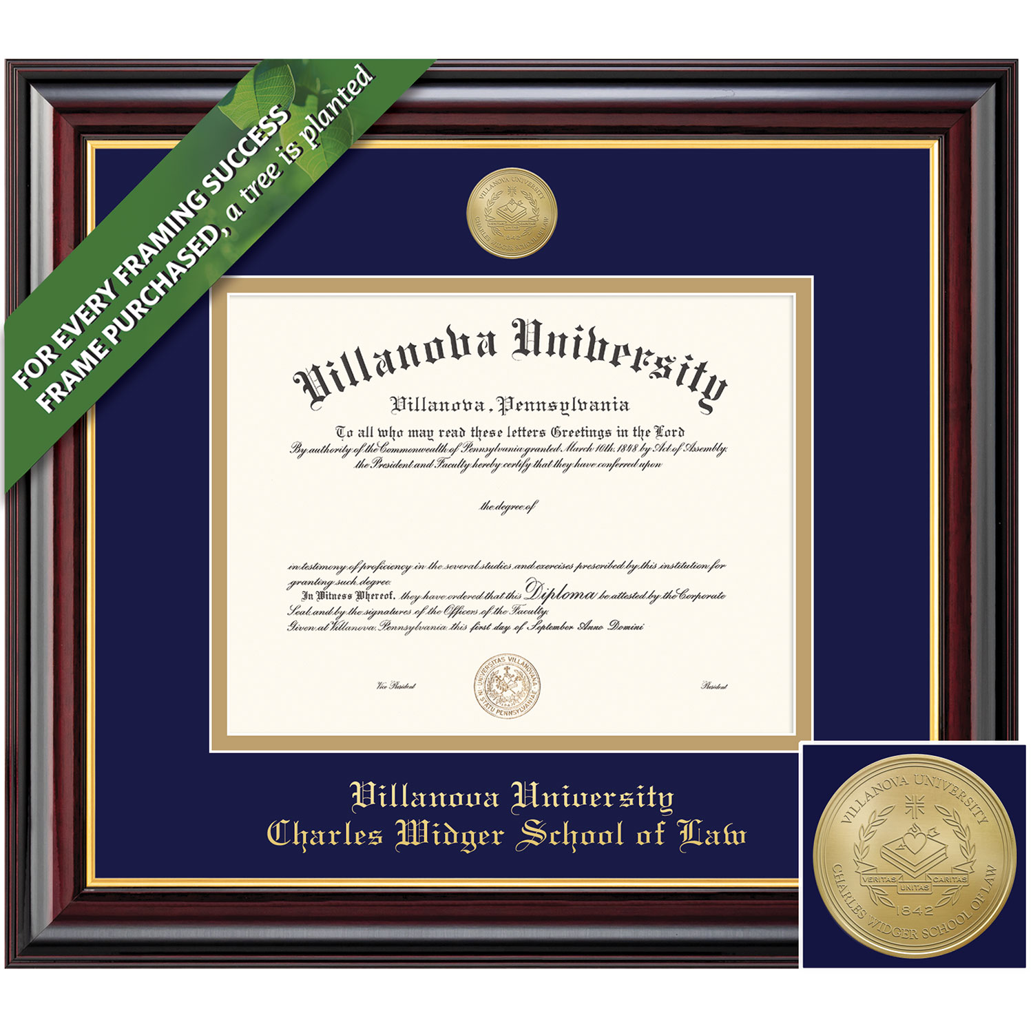 Framing Success 11.75 x 14.25 Windsor Gold Medallion Law Diploma Frame