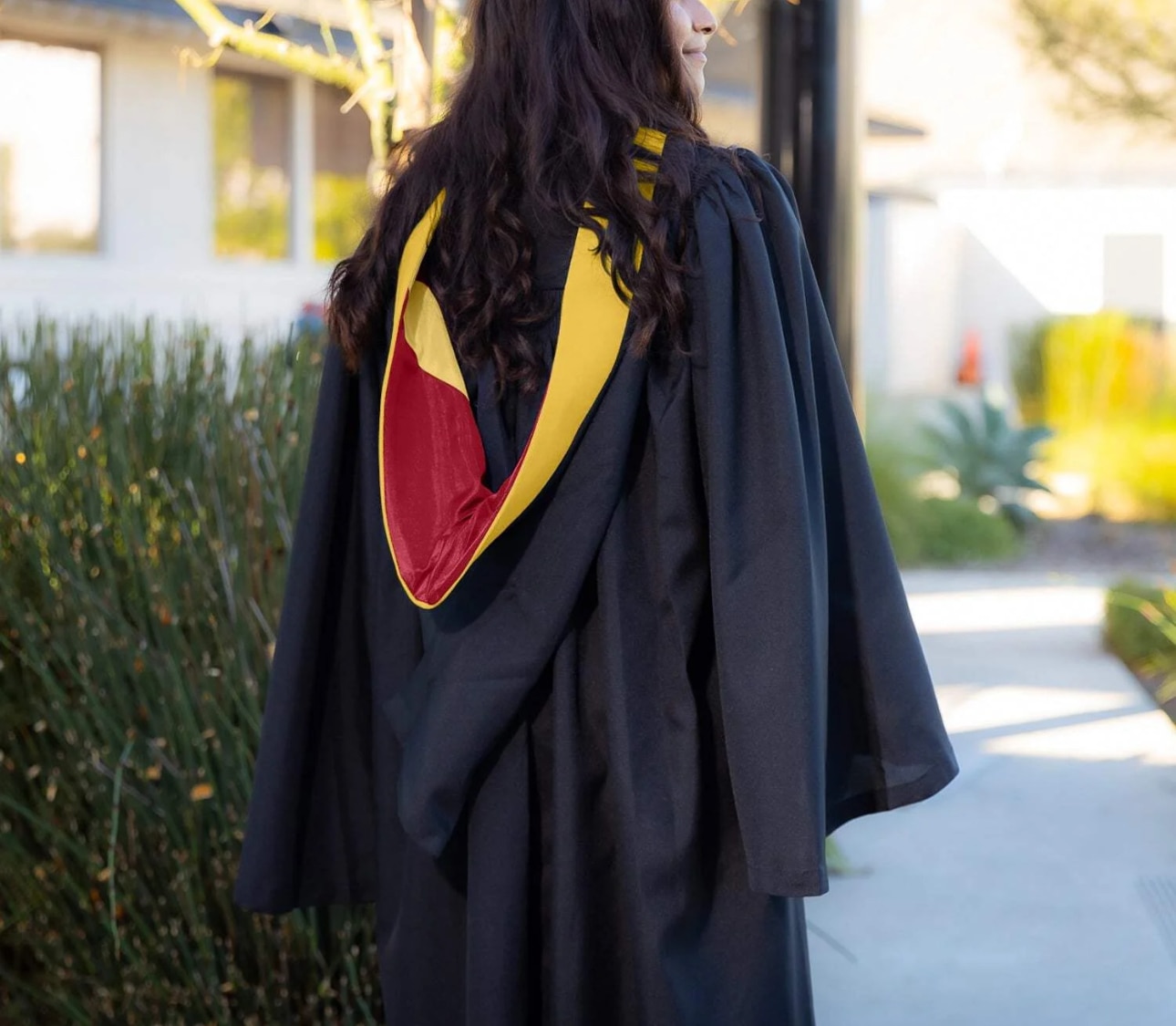 Elements Master Hood