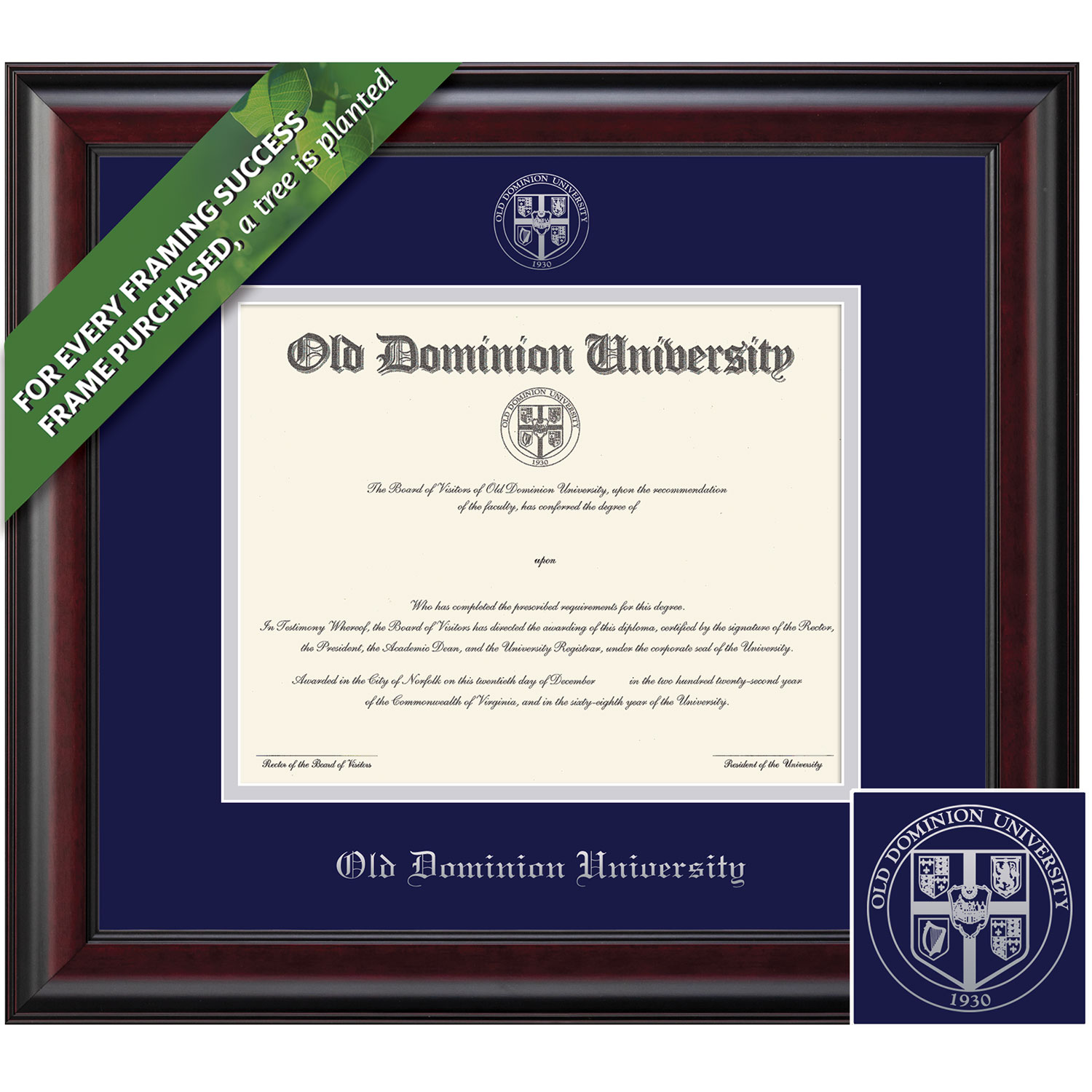 Framing Success 11 x 14 Classic Silver Embossed School Seal Bachelors Masters Diploma Frame