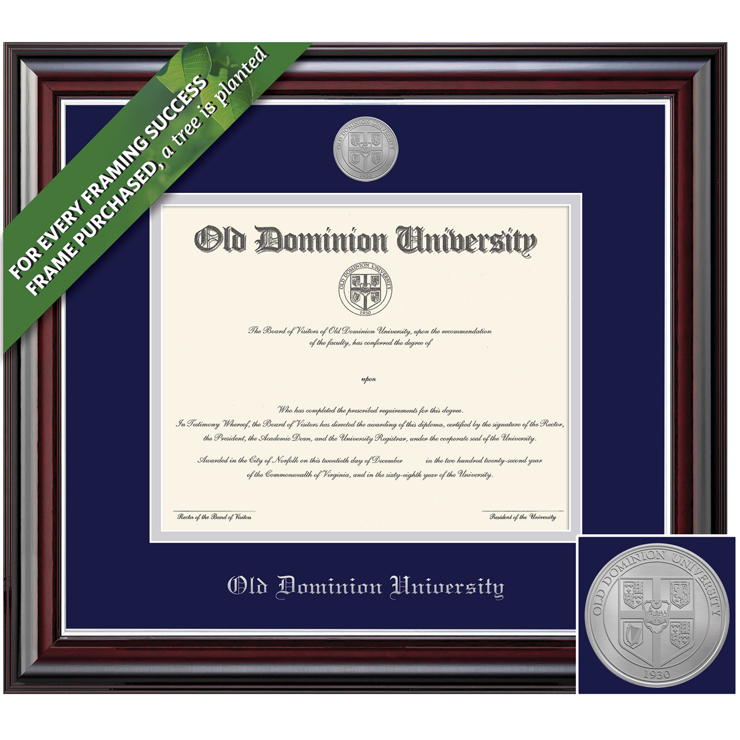 Framing Success 11 x 14 Jefferson Silver Medallion Bachelors Masters Diploma Frame