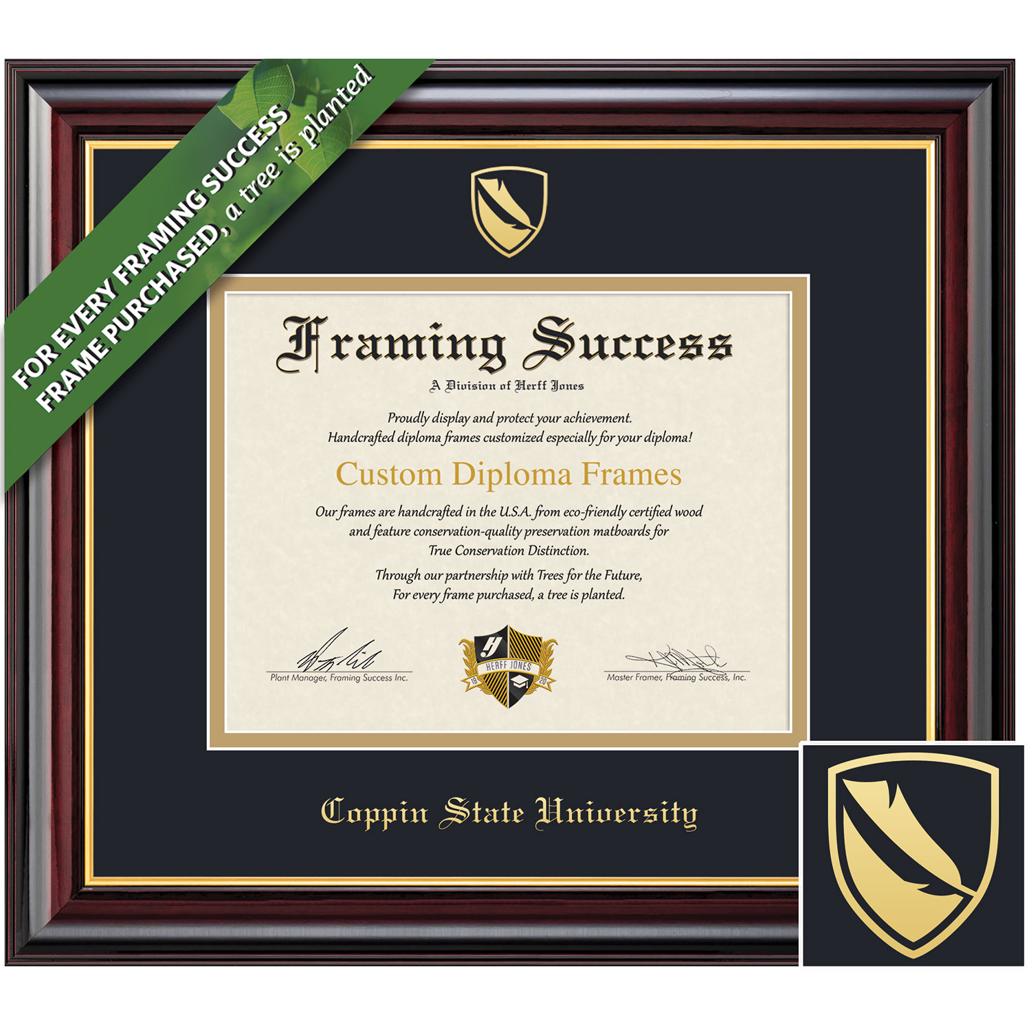 Framing Success 9 x 12 Windsor Gold Embossed School Seal Masters Diploma Frame