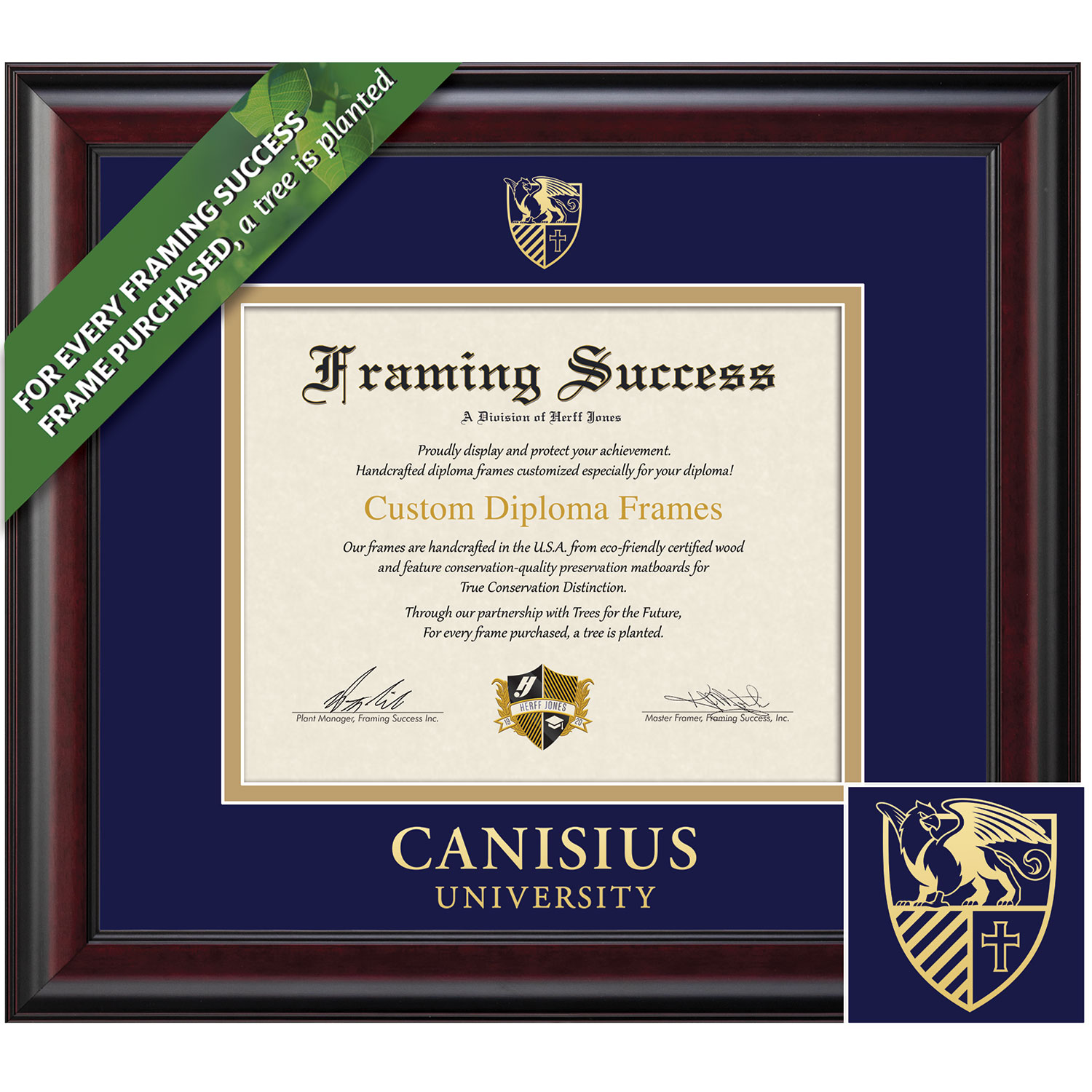 Framing Success 8.5 x 11 Classic Gold Embossed School Seal Bachelors Masters Diploma Frame