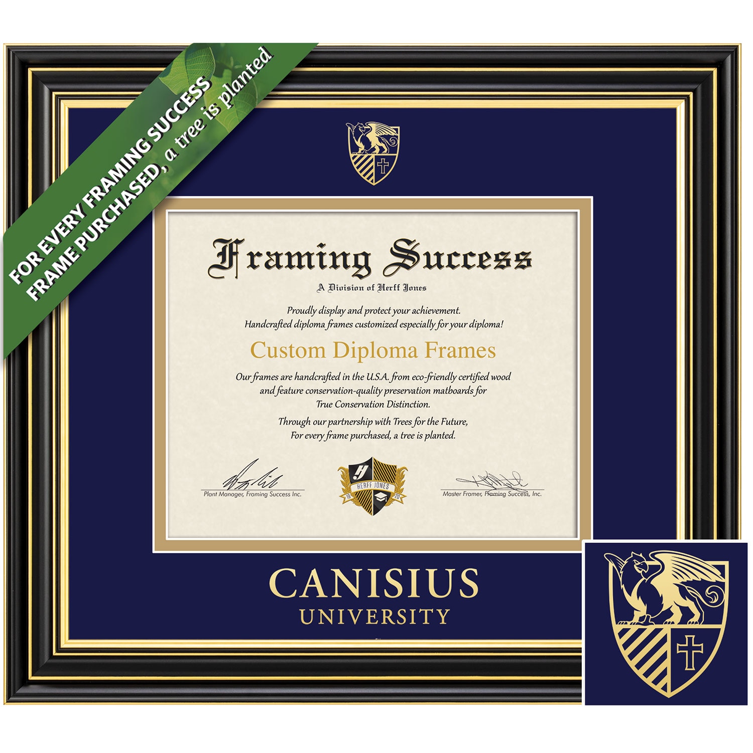 Framing Success 8.5 x 11 Prestige Gold Embossed School Seal Bachelors Masters Diploma Frame