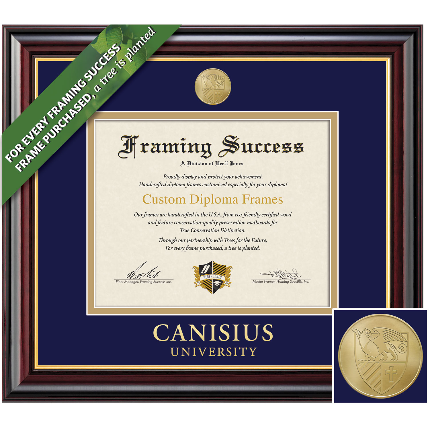 Framing Success 8.5 x 11 Windsor Gold Medallion Bachelors Masters Diploma Frame