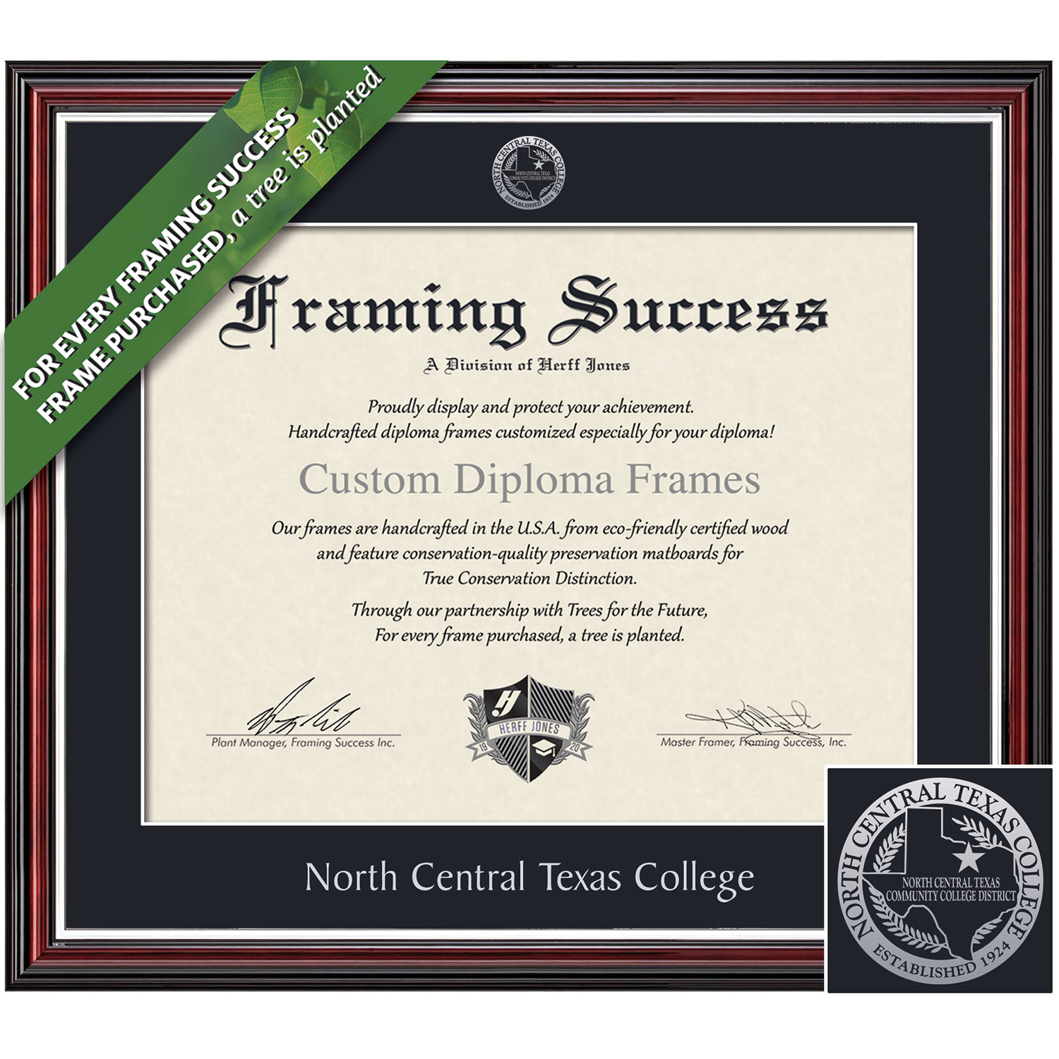 Framing Success 8.5 x 11 Scholastic Silver Embossed School Seal Associates Diploma Frame