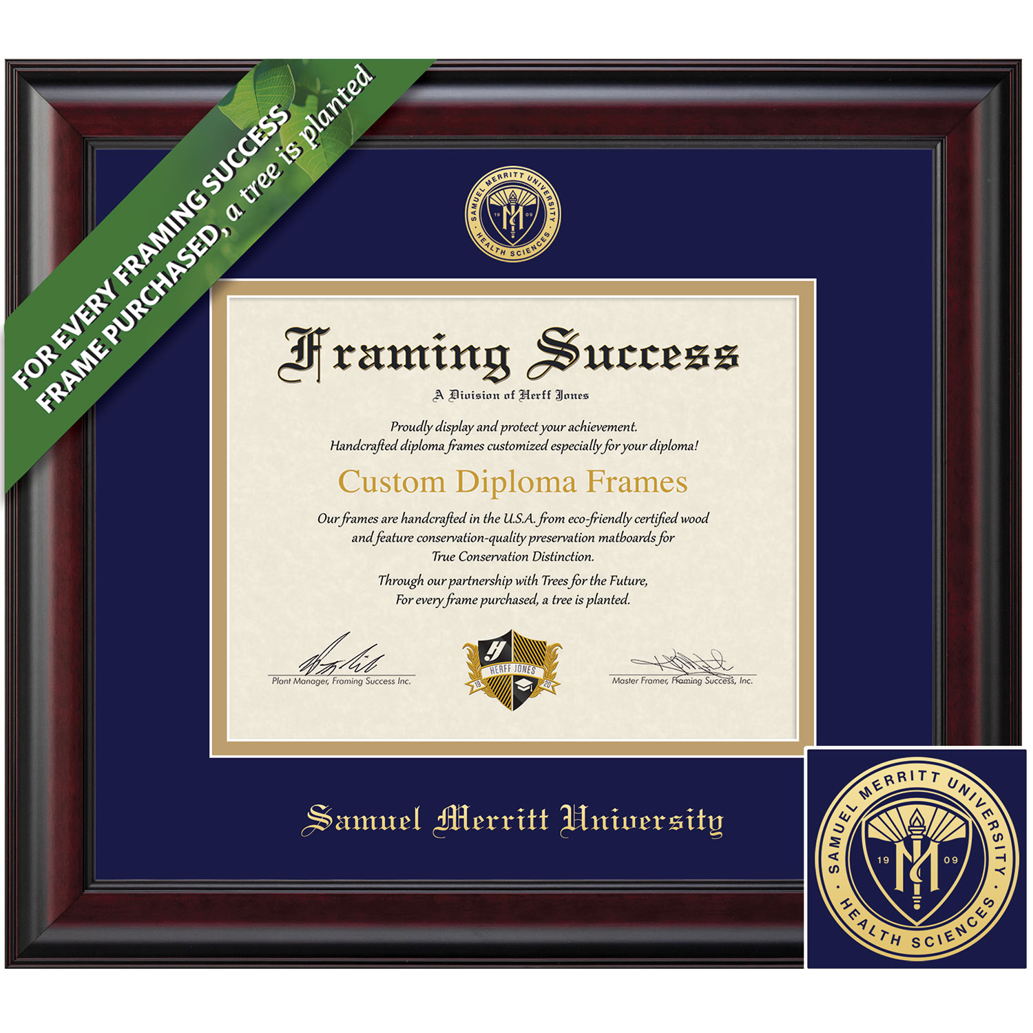 Framing Success 8.5 x 11 Classic Gold Embossed School Seal Bachelors Masters Diploma Frame