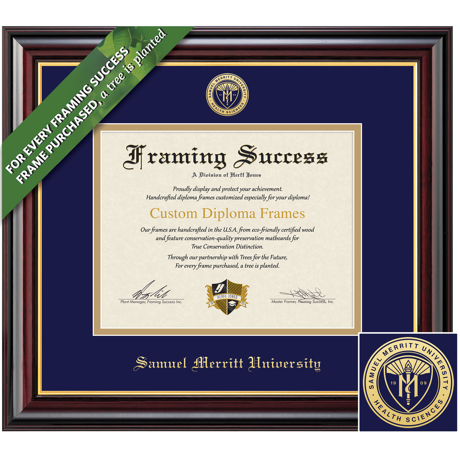 Framing Success 8.5 x 11 Windsor Gold Embossed School Seal Bachelors Masters Diploma Frame