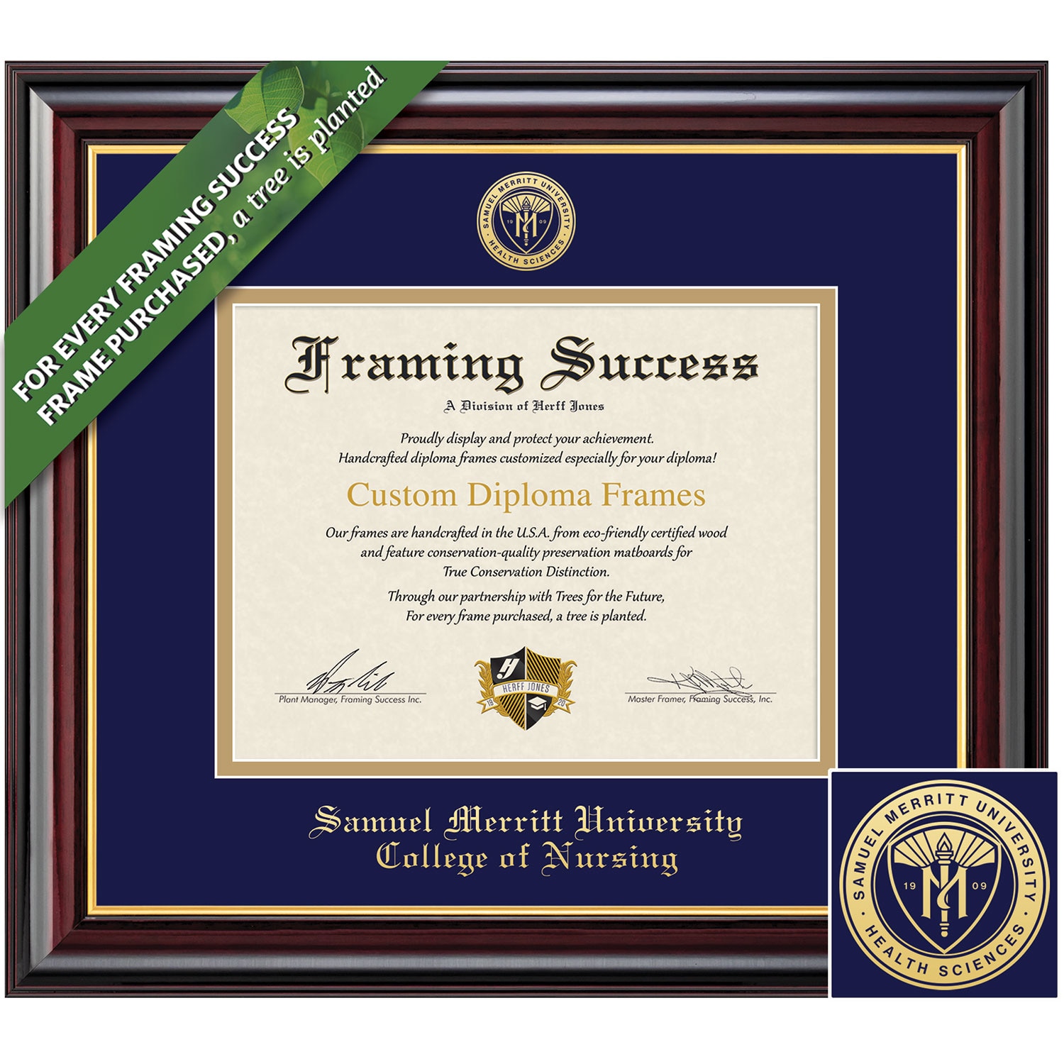 Framing Success 8.5 x 11 Windsor Gold Embossed School Seal Nursing Diploma Frame