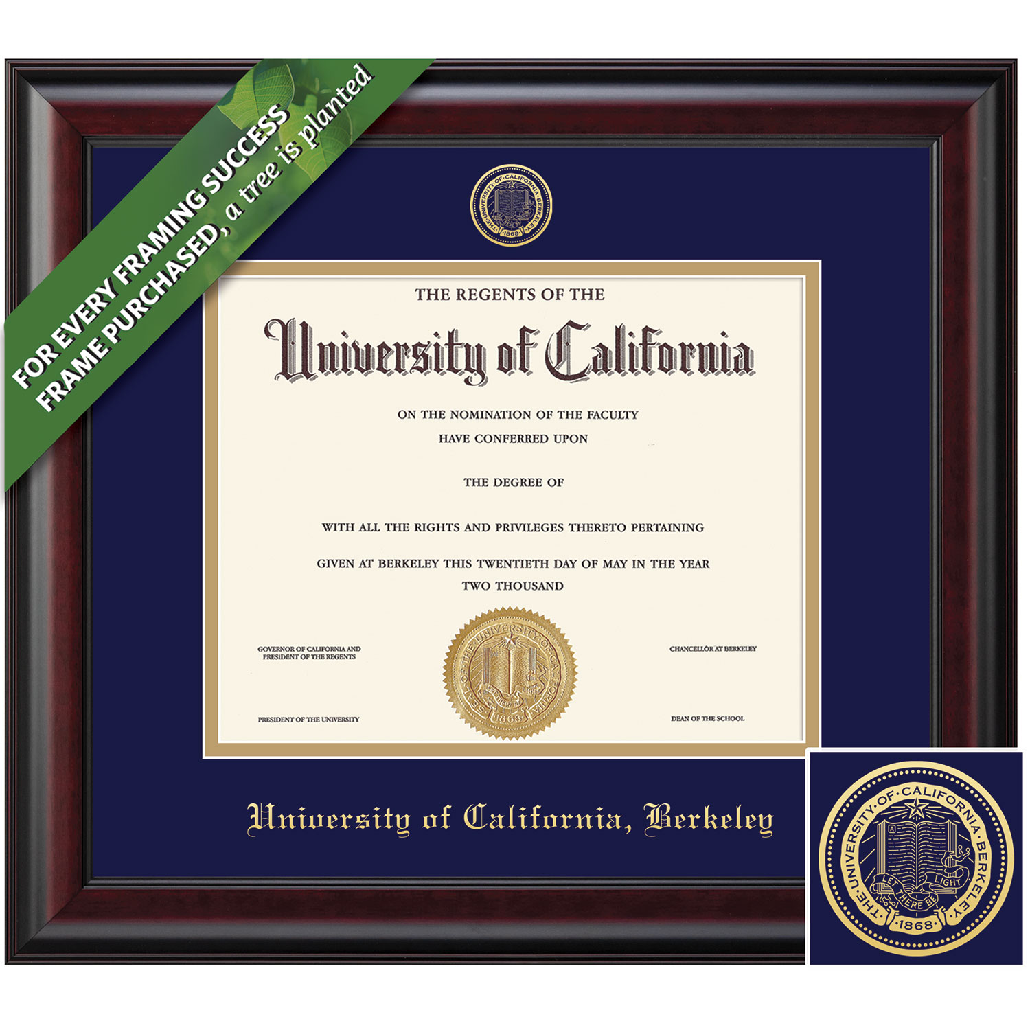 Framing Success 8.5 x 11 Classic Gold Embossed School Seal Bachelors Masters PhD Diploma Frame