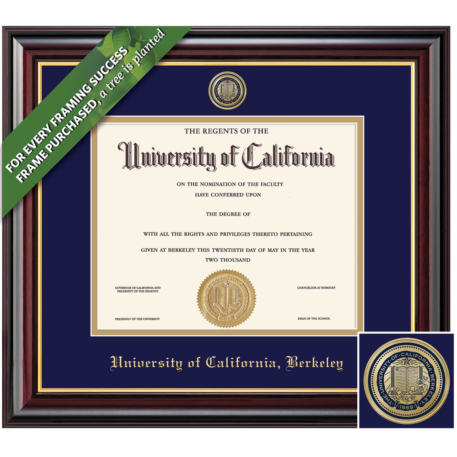 Framing Success 8.5 x 11 Windsor Color Enameled Medallion Bachelors Masters PhD Diploma Frame