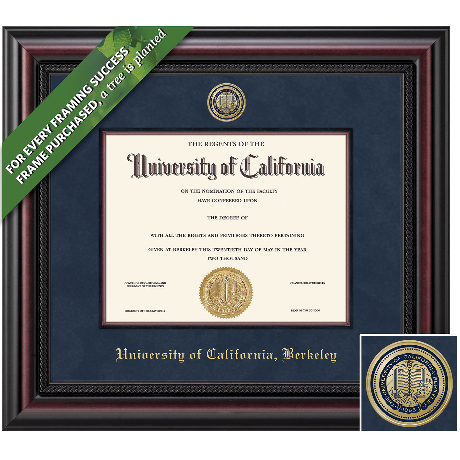 Framing Success 8.5 x 11 Legacy Color Enameled Medallion Bachelors Masters PhD Diploma Frame
