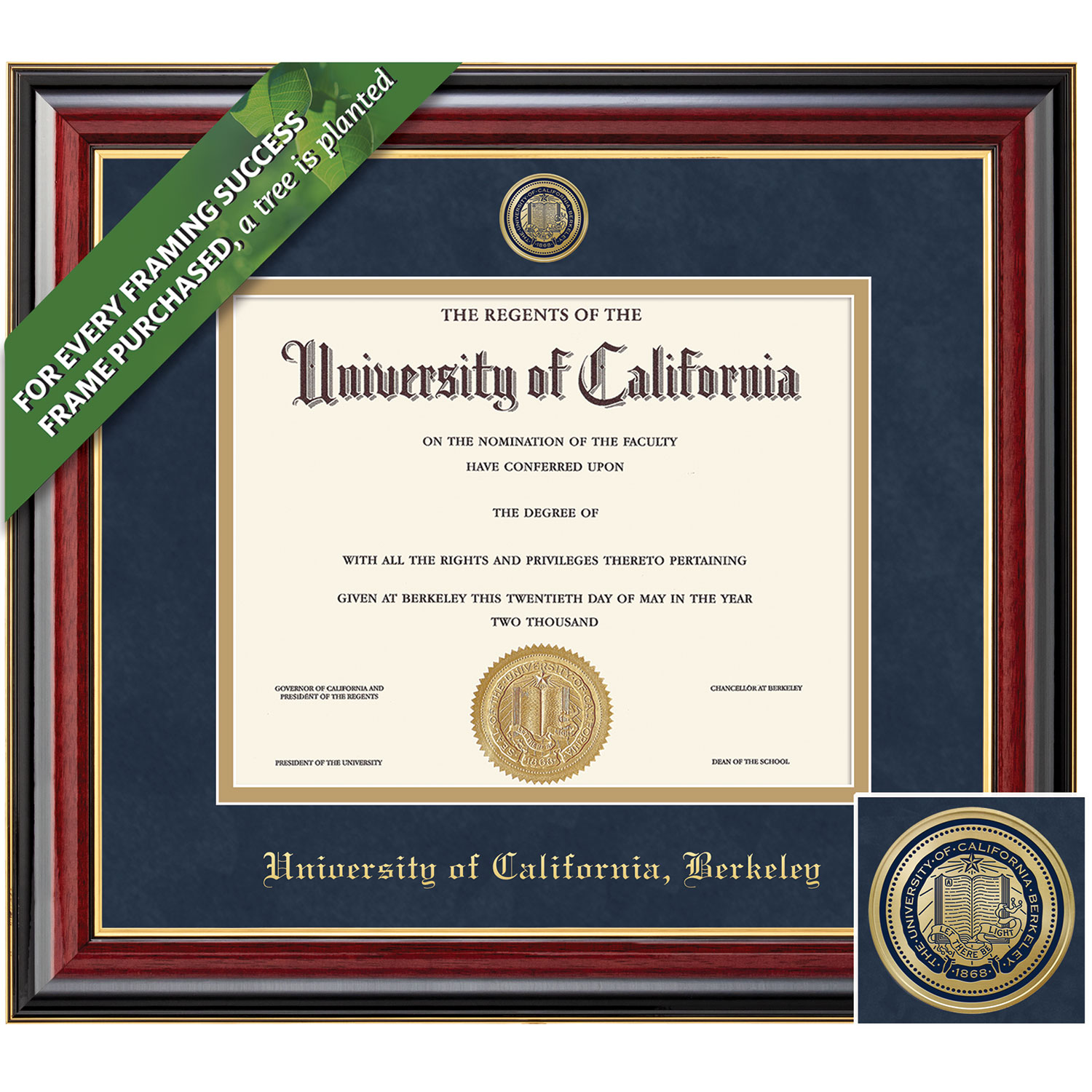 Framing Success 8.5 x 11 Sienna Color Enameled Medallion Bachelors Masters PhD Diploma Frame