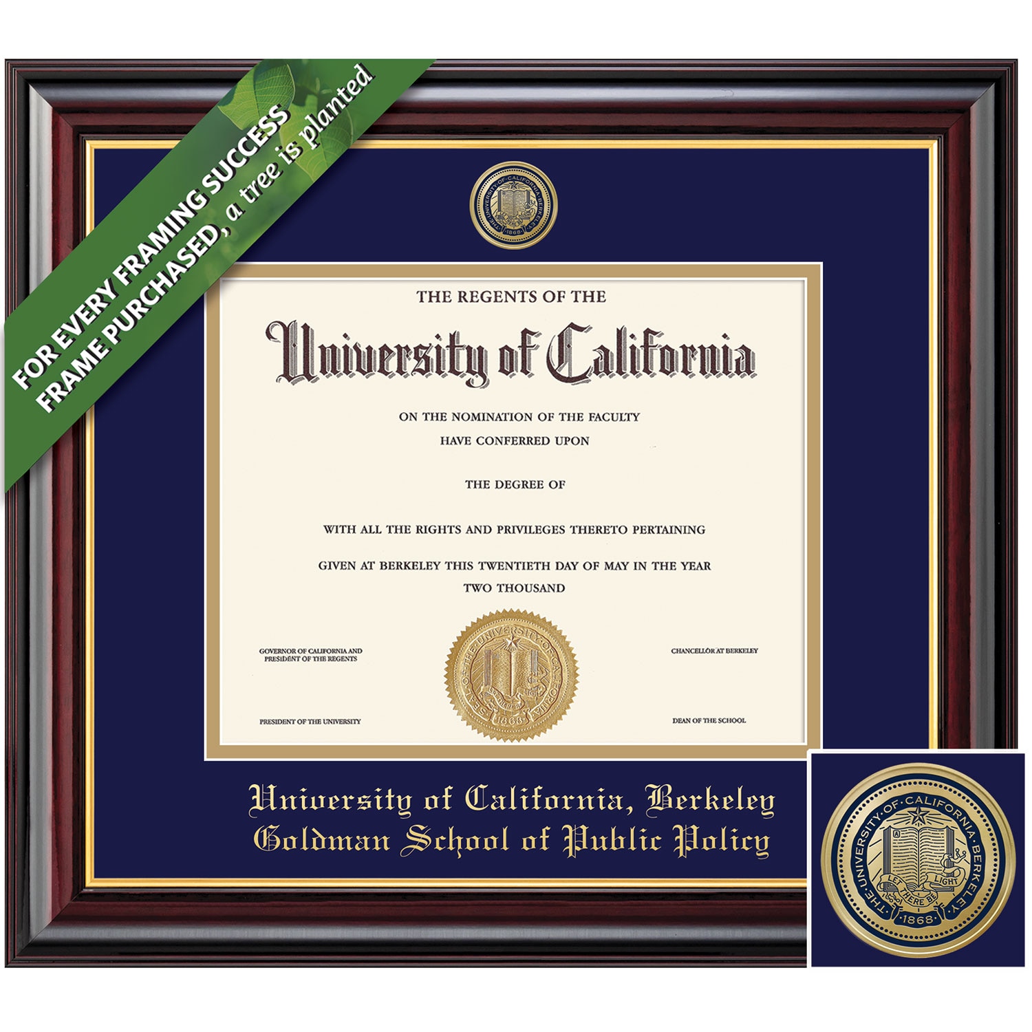 Framing Success 8.5 x 11 Windsor Color Enameled Medallion Goldman School of Public Policy Diploma Frame