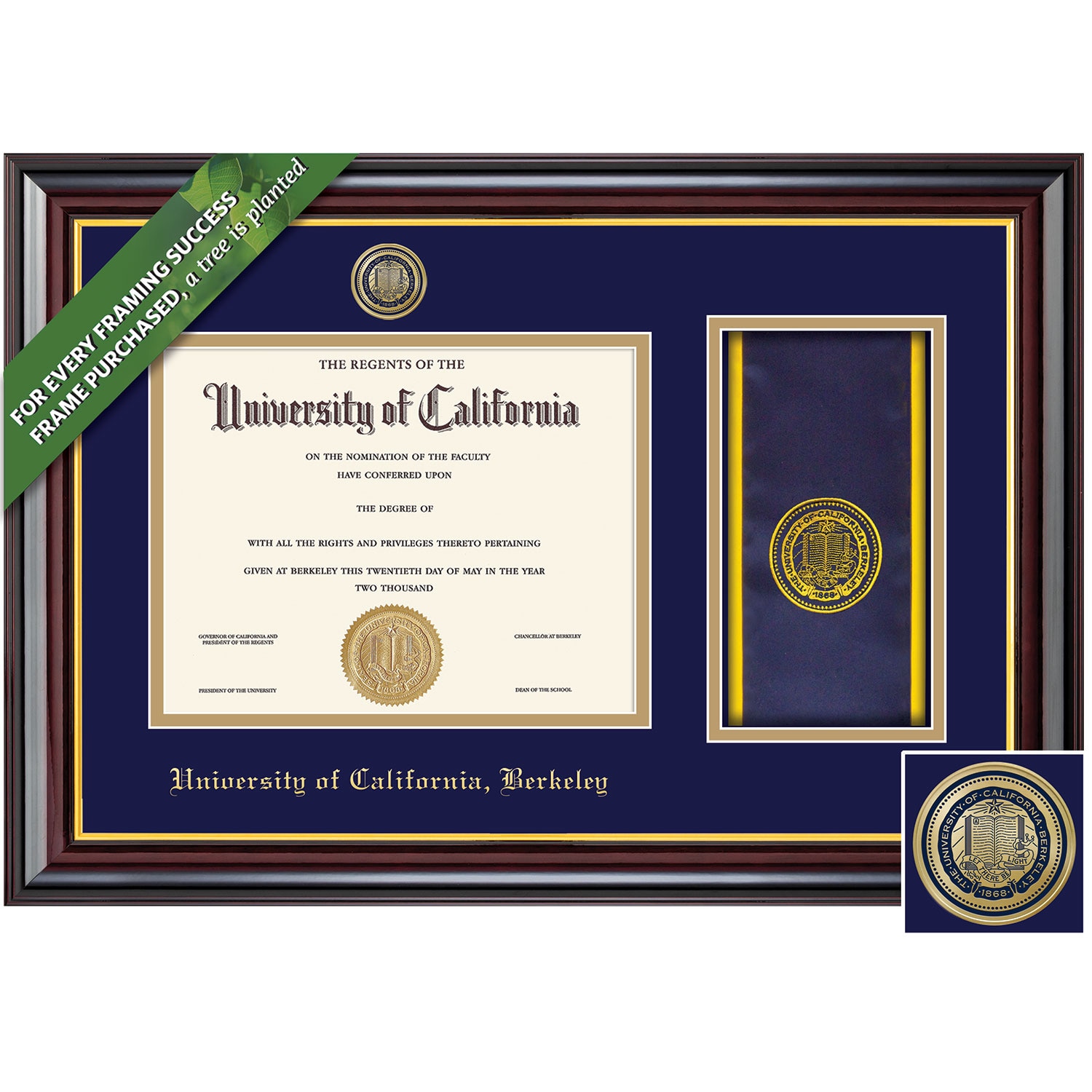 Framing Success Windsor Gold Medallion Bachelors Masters Doctorate Diploma/Stole Frame