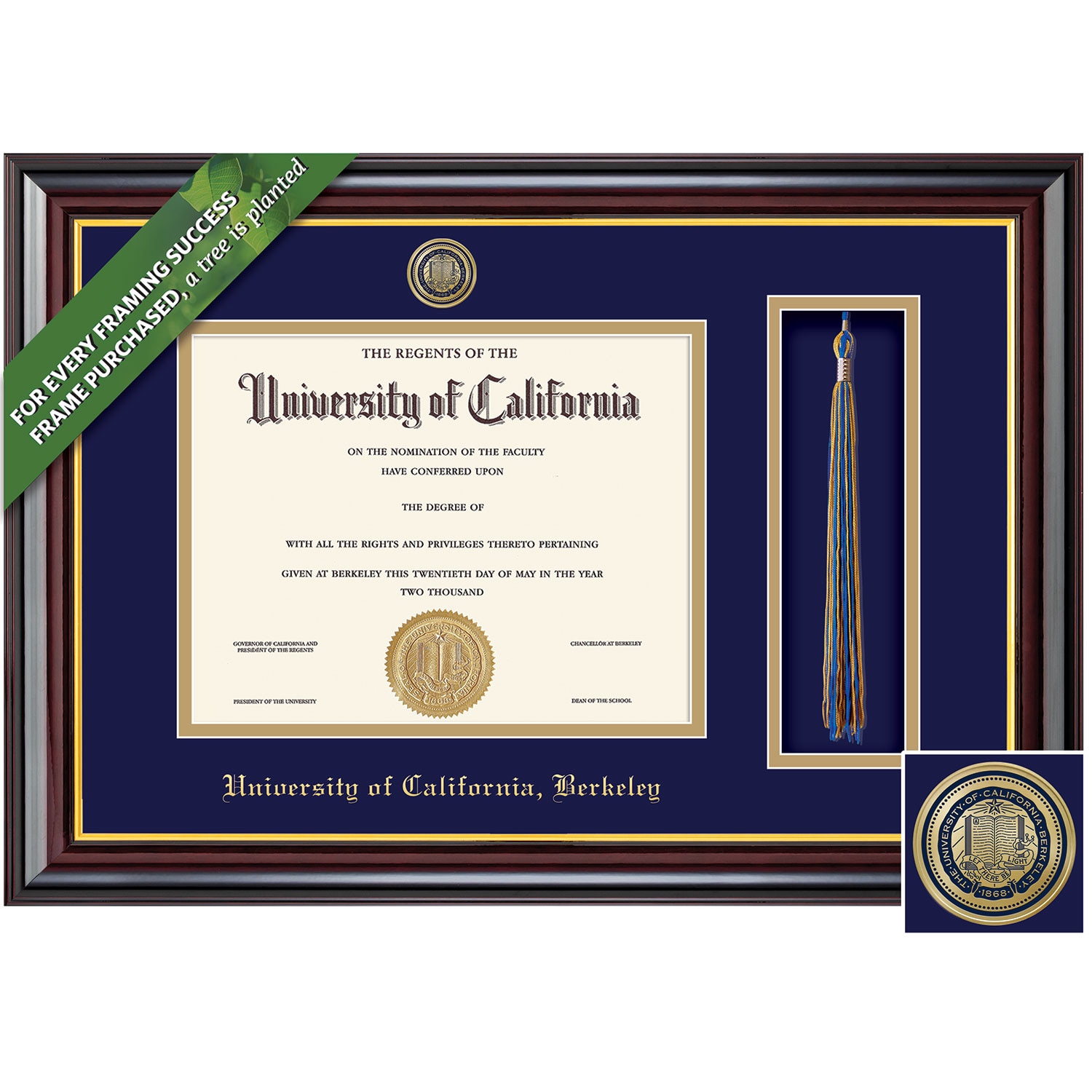 Framing Success Windsor Gold Medallion Bachelors Masters Doctorate Diploma/Tassel Frame