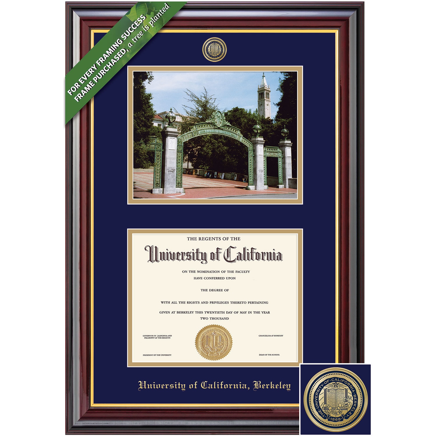 Framing Success 8.5 x 11 Windsor Color Enameled Medallion Bachelors Masters PhD Diploma/Photo Frame