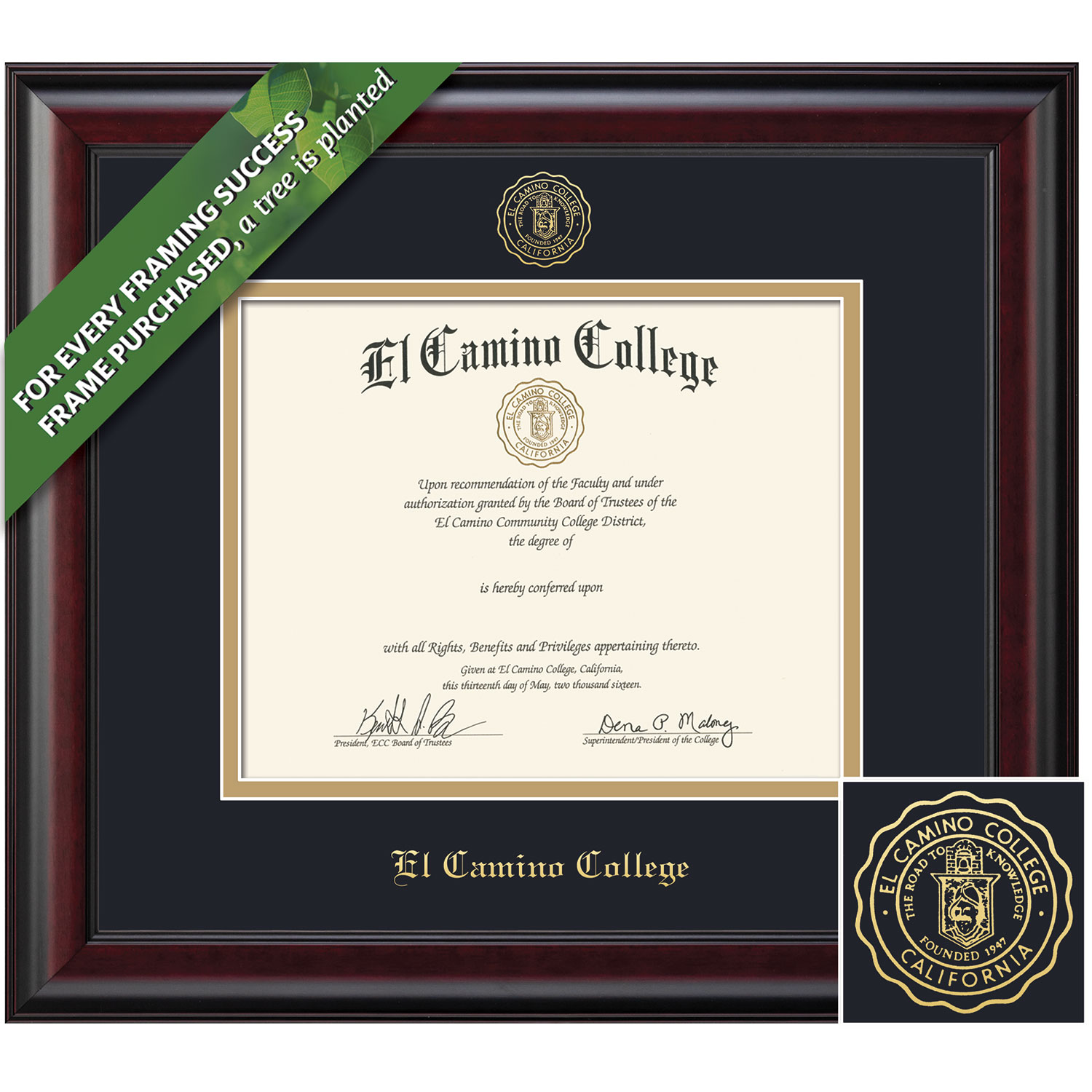 Framing Success 8 x 10 Classic Gold Embossed School Seal Associates Diploma Frame