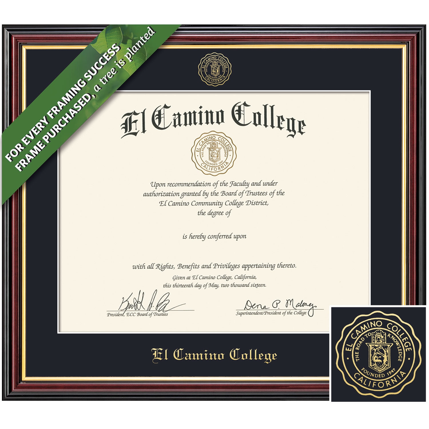 Framing Success 8 x 10 Academic Gold Embossed School Seal Associates Diploma Frame