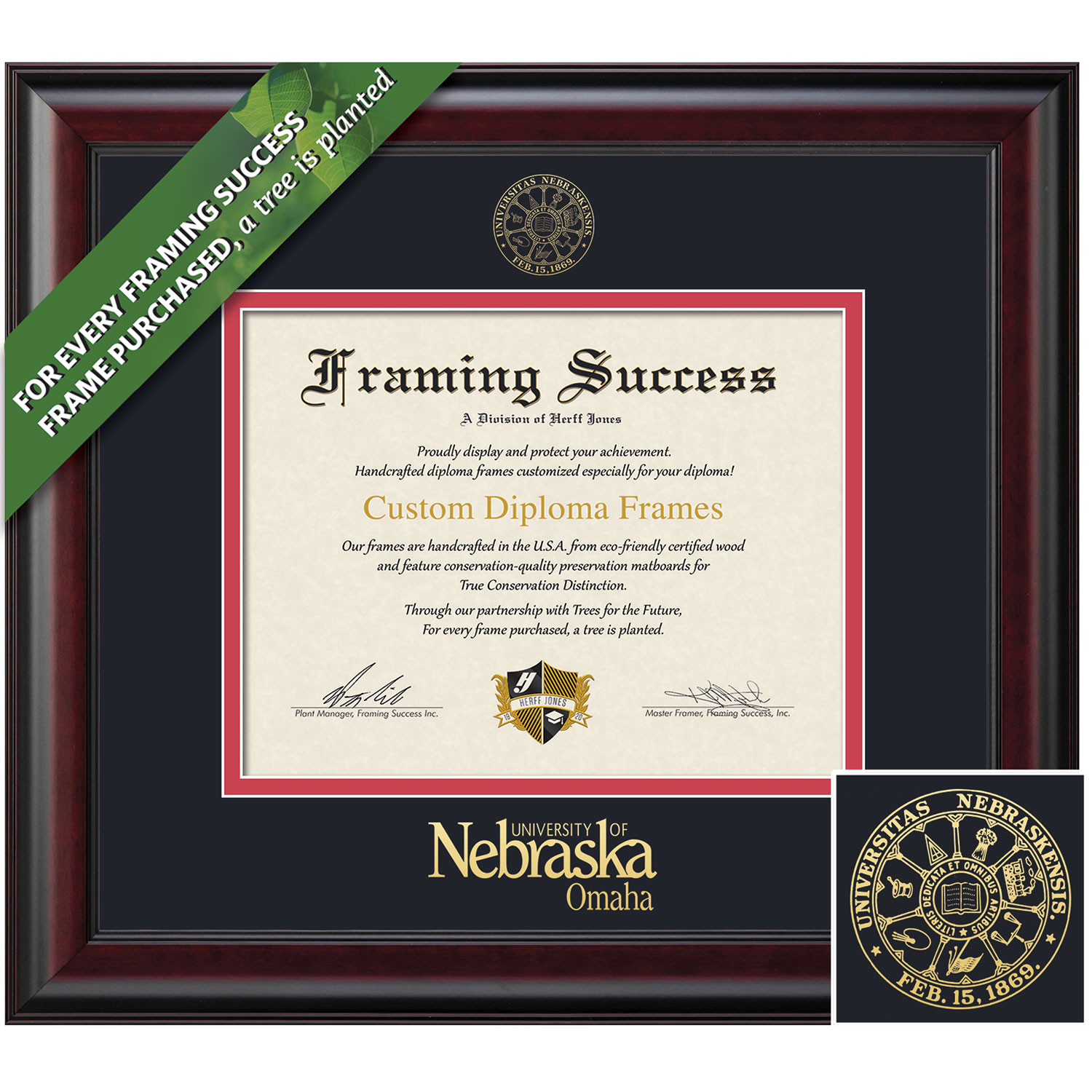 Framing Success 8.5 x 11 Classic Gold Embossed School Seal Bachelors Masters Doctorate Diploma Frame