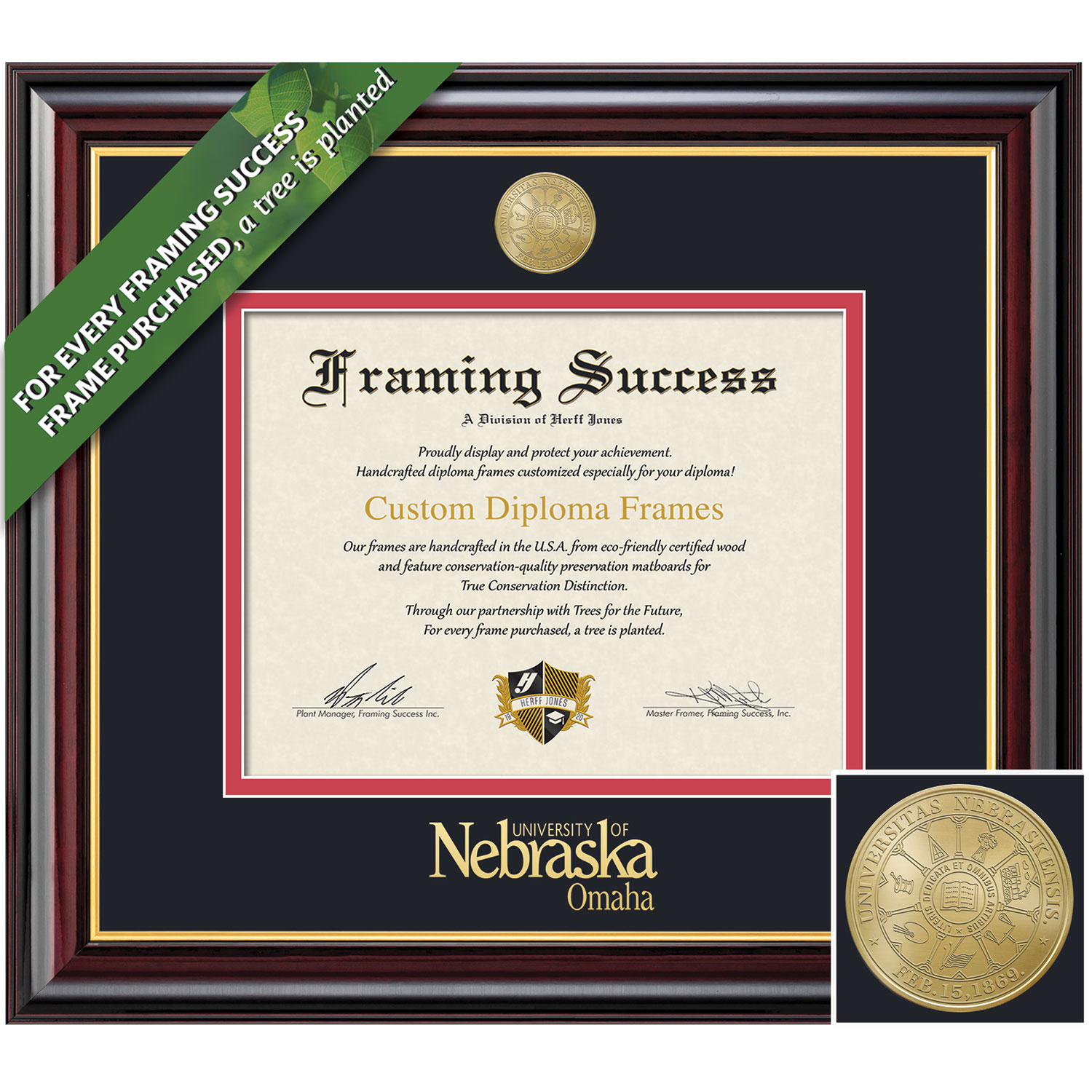 Framing Success 8.5 x 11 Windsor Gold Medallion Bachelors Masters Doctorate Diploma Frame