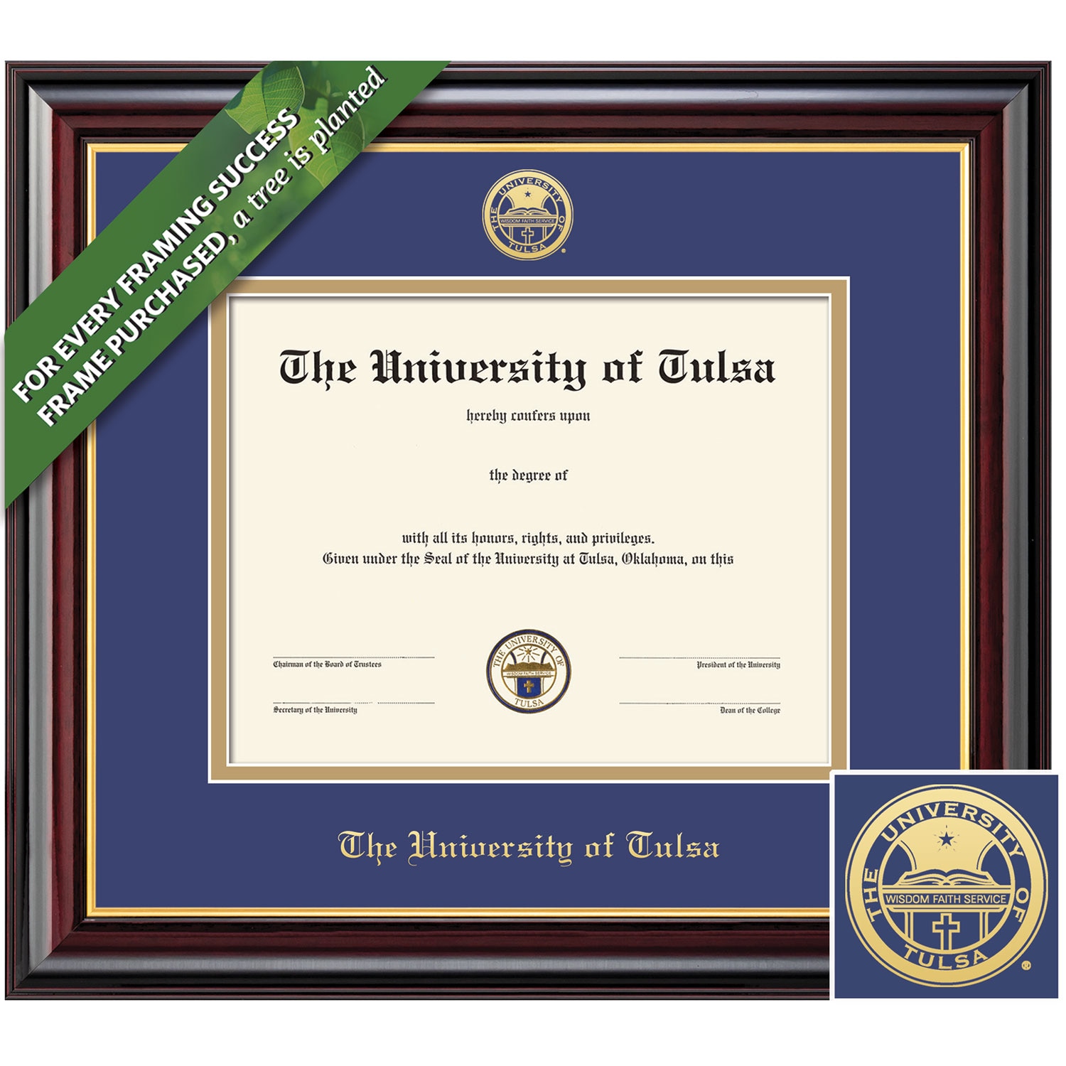 Framing Success 11 x 14 Windsor Gold Embossed School Seal Bachelors Masters Diploma Frame