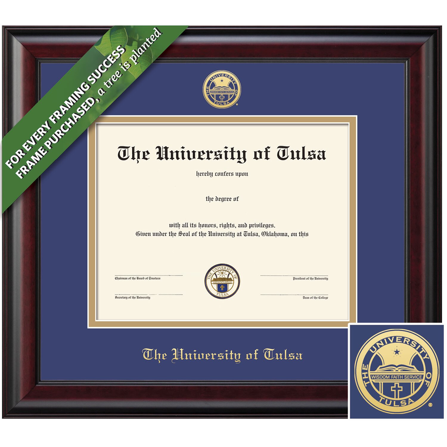 Framing Success 11 x 14 Classic Gold Embossed School Seal Bachelors Masters Diploma Frame