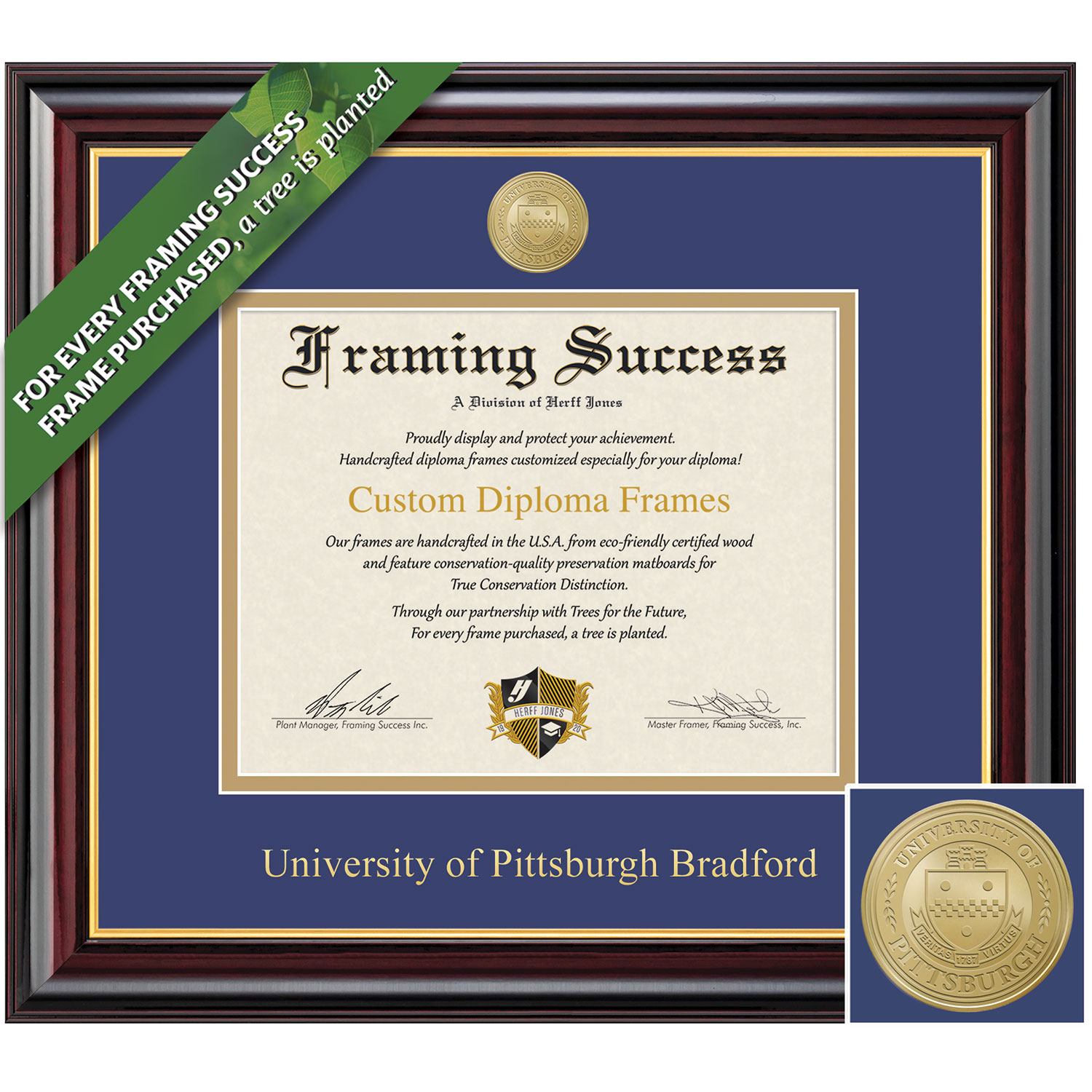 Framing Success 8.5 x 11 Windsor Gold Medallion Bachelors Masters Diploma Frame