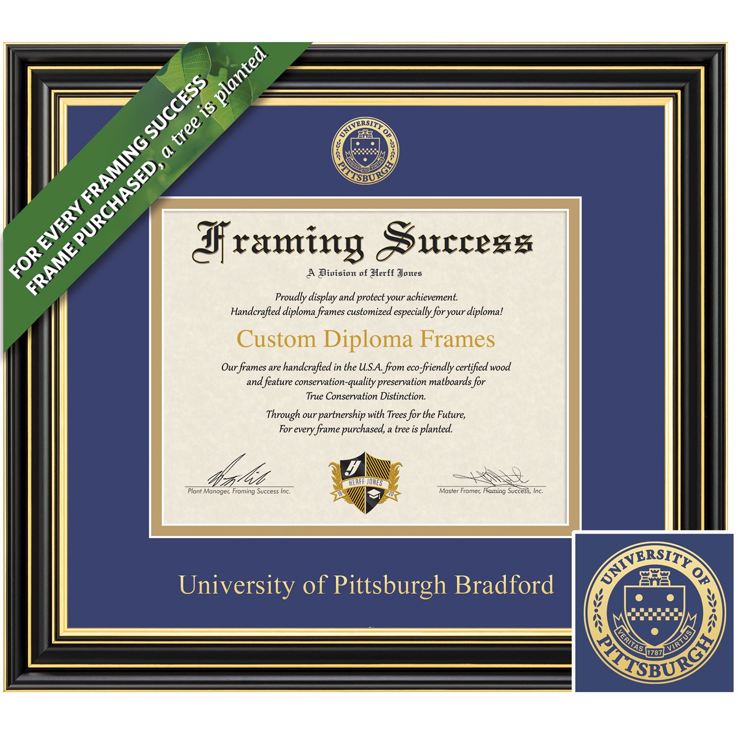 Framing Success 8.5 x 11 Prestige Gold Embossed School Seal Bachelors Masters Diploma Frame