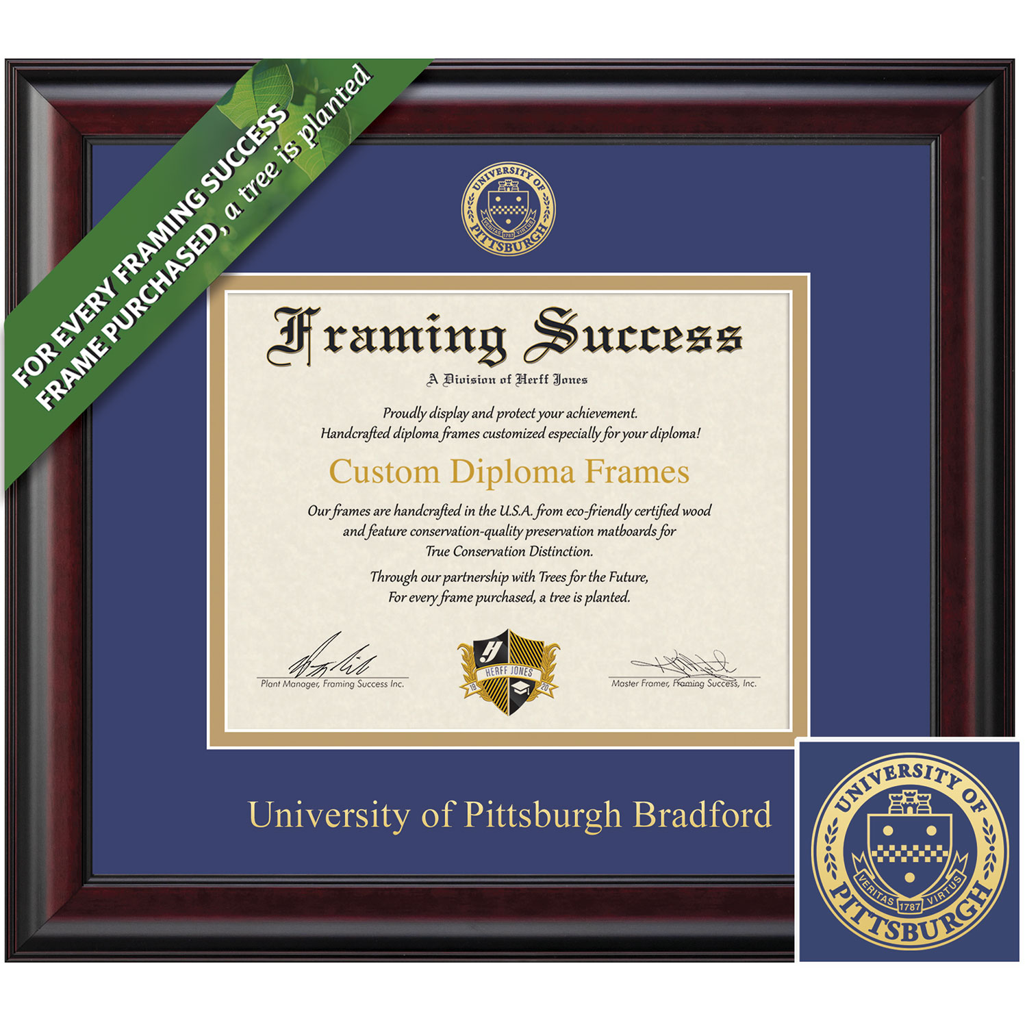 Framing Success 8.5 x 11 Classic Gold Embossed School Seal Bachelors Masters Diploma Frame