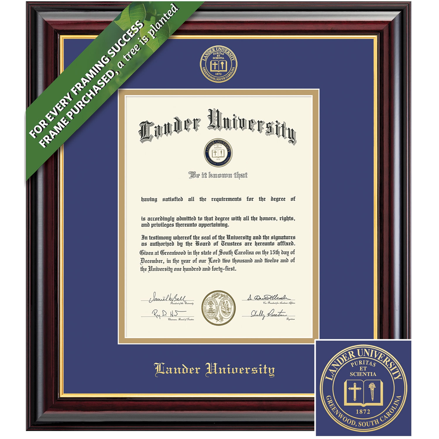 Framing Success 14 x 11 Windsor Gold Embossed School Seal Bachelors Masters Diploma Frame