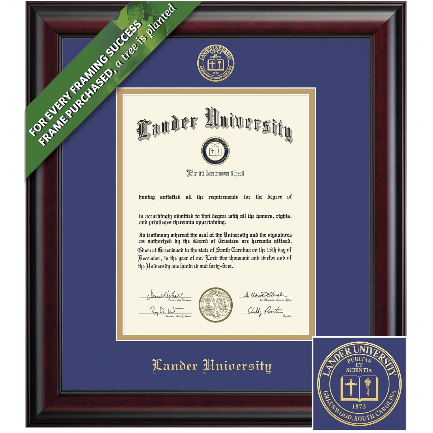 Framing Success 14 x 11 Classic Gold Embossed School Seal Bachelors Masters Diploma Frame