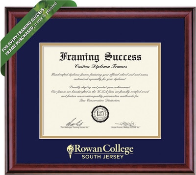 Framing Success 8 x 10 Classic Gold Embossed School Seal Associates Diploma Frame
